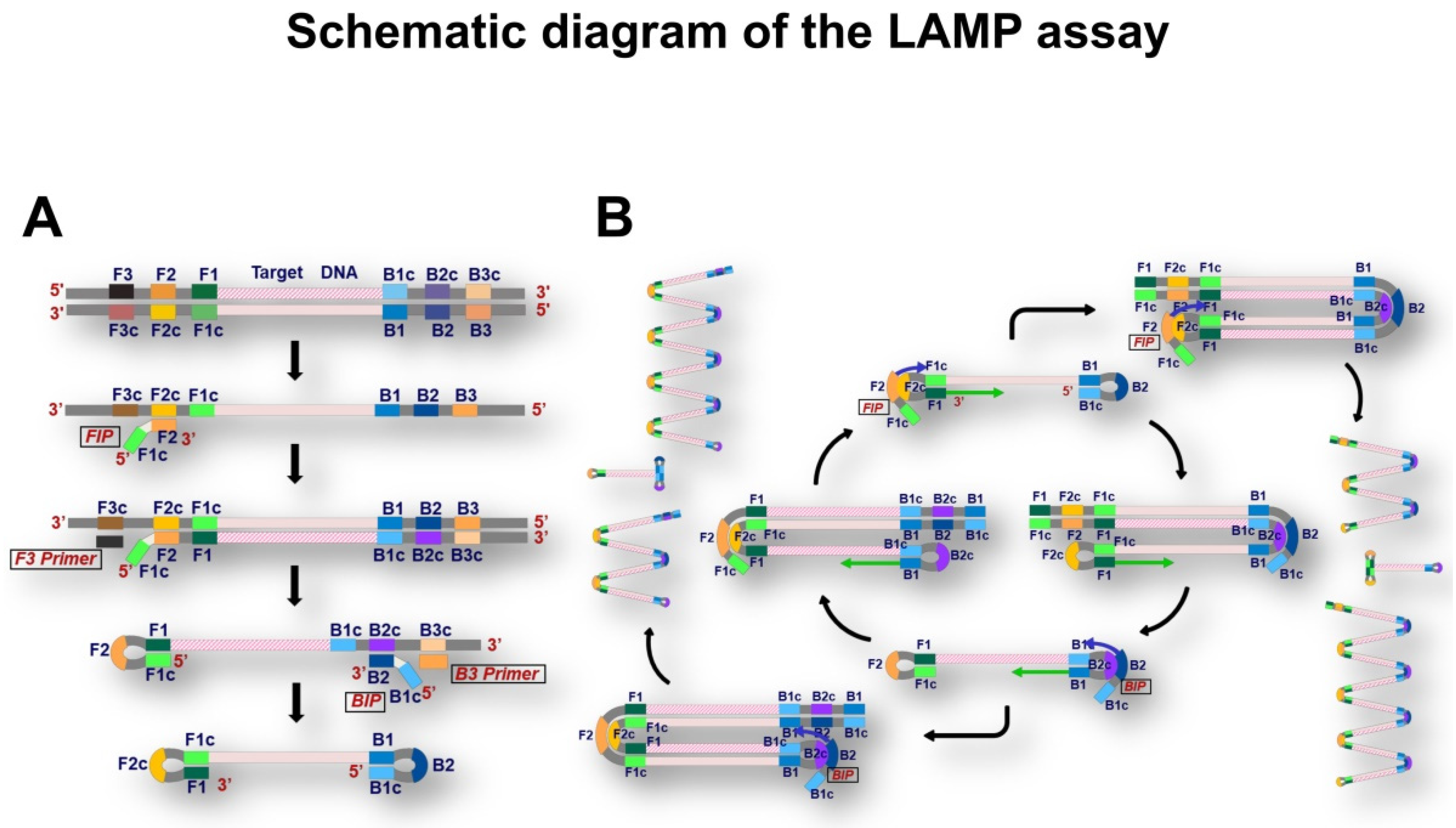 Micromachines 13 00897 g002 550