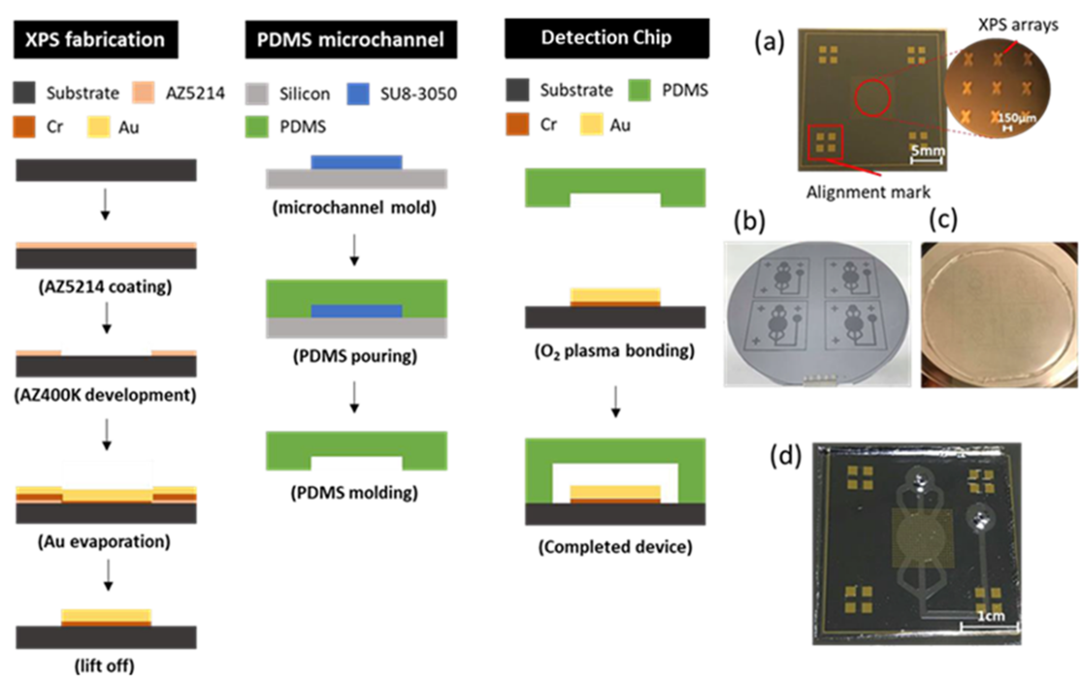 Micromachines 13 00904 g002a 550