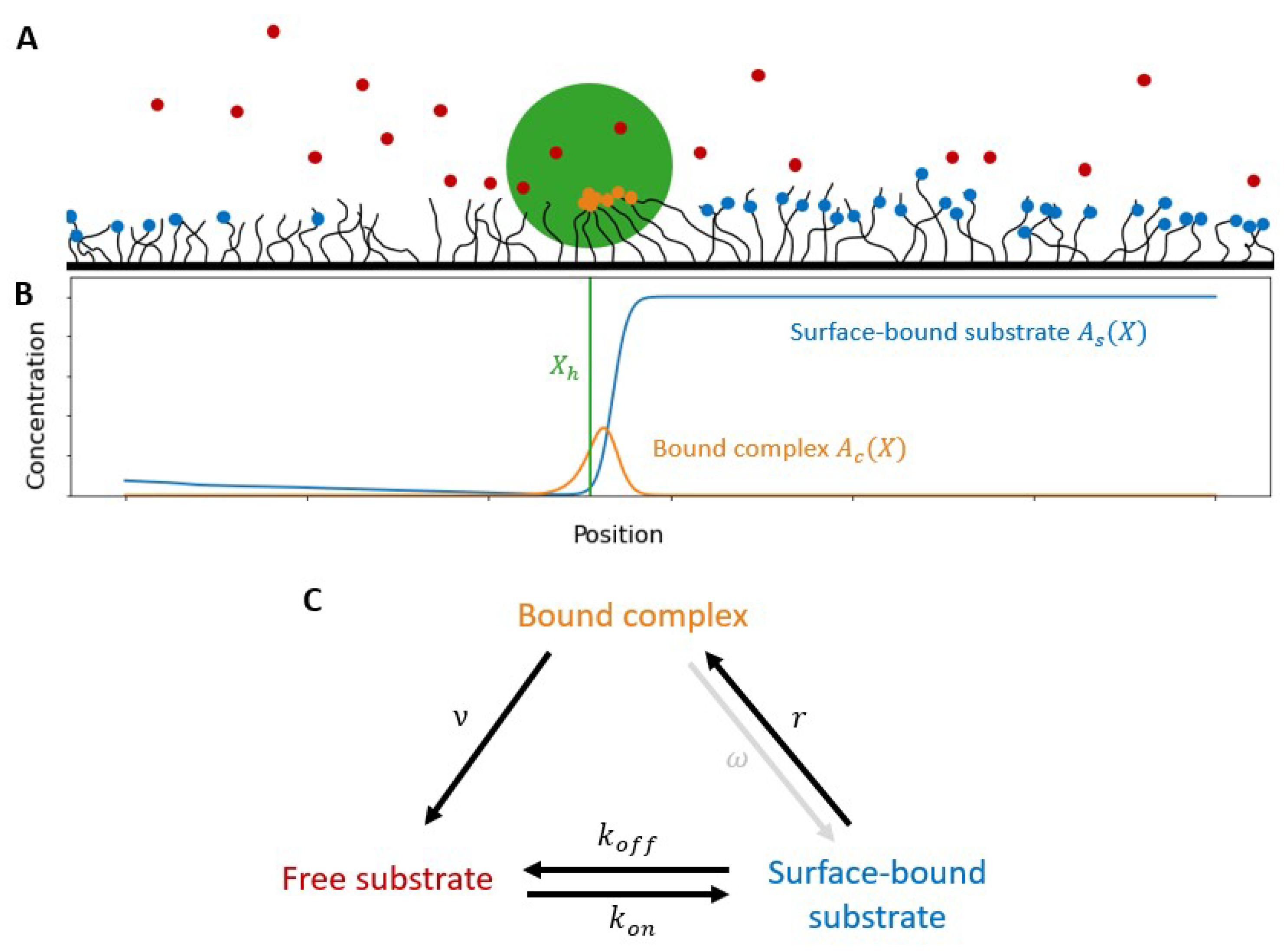Micromachines 13 00914 g001