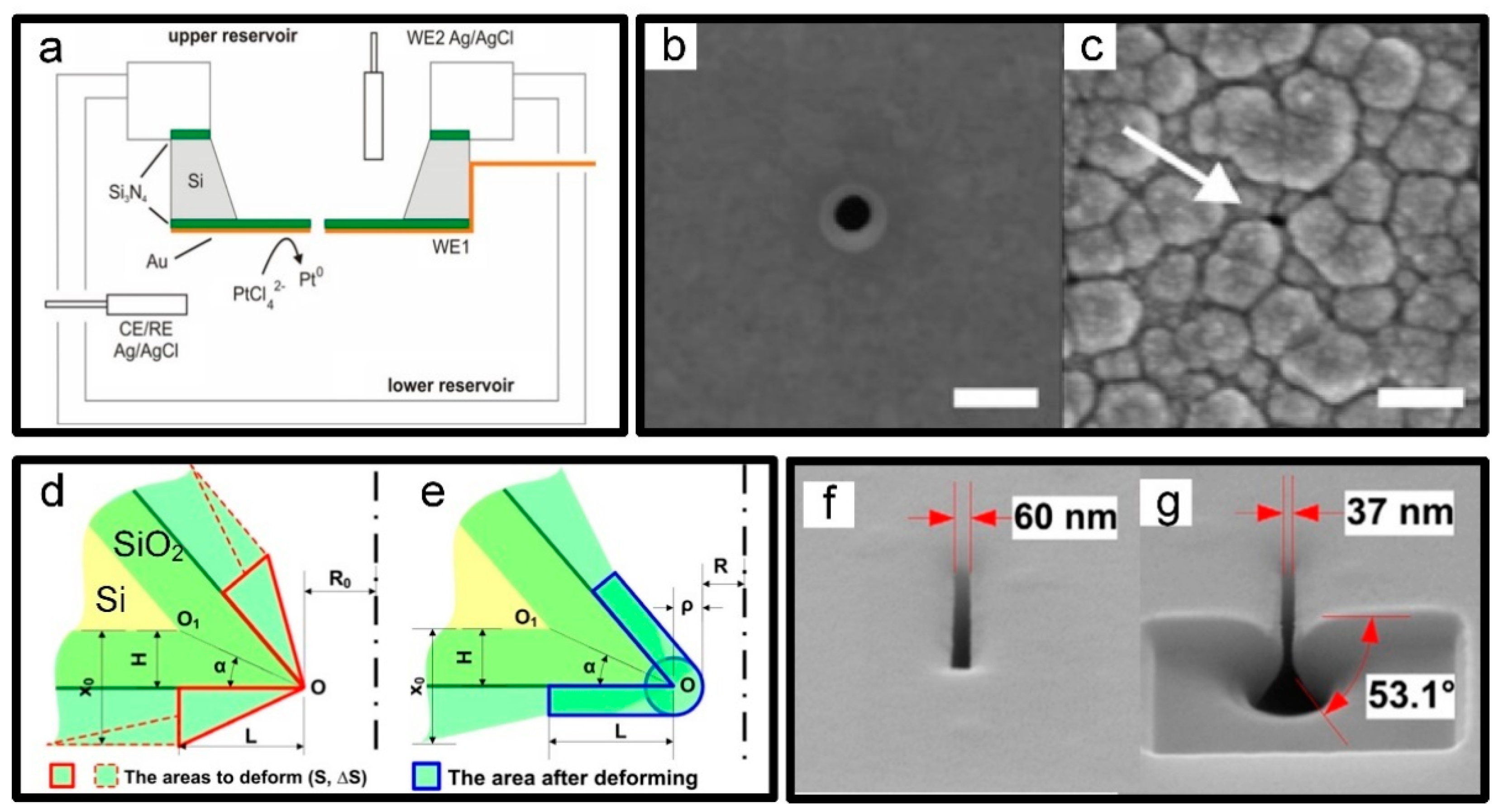 Micromachines 13 00923 g006