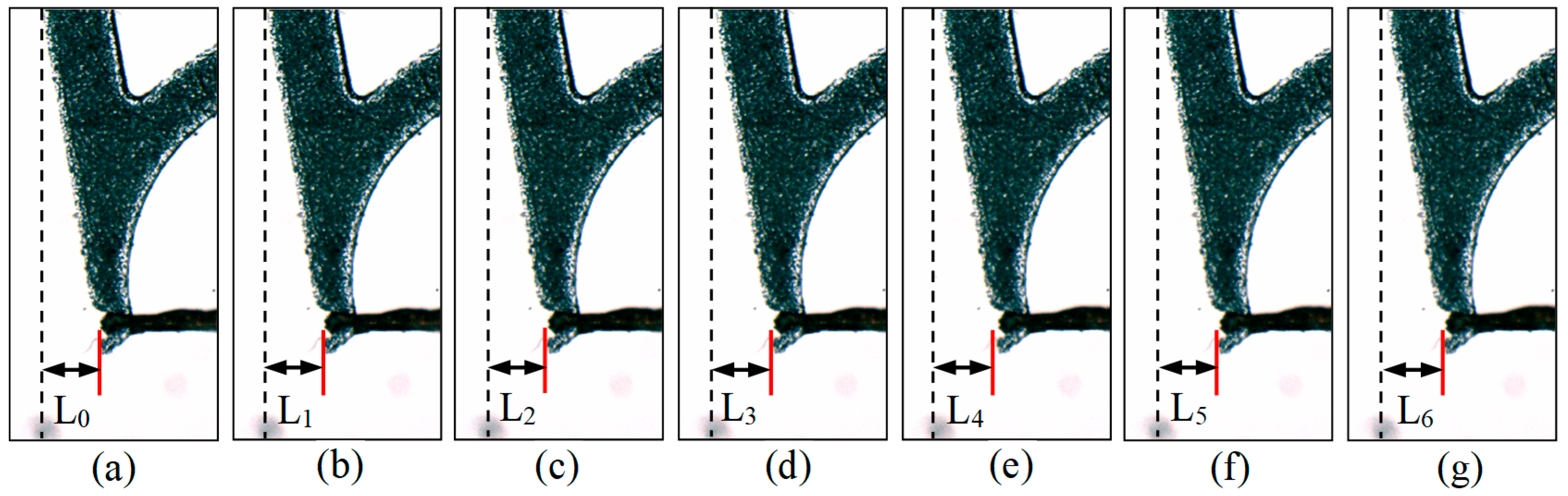 Micromachines 13 00925 g017 550