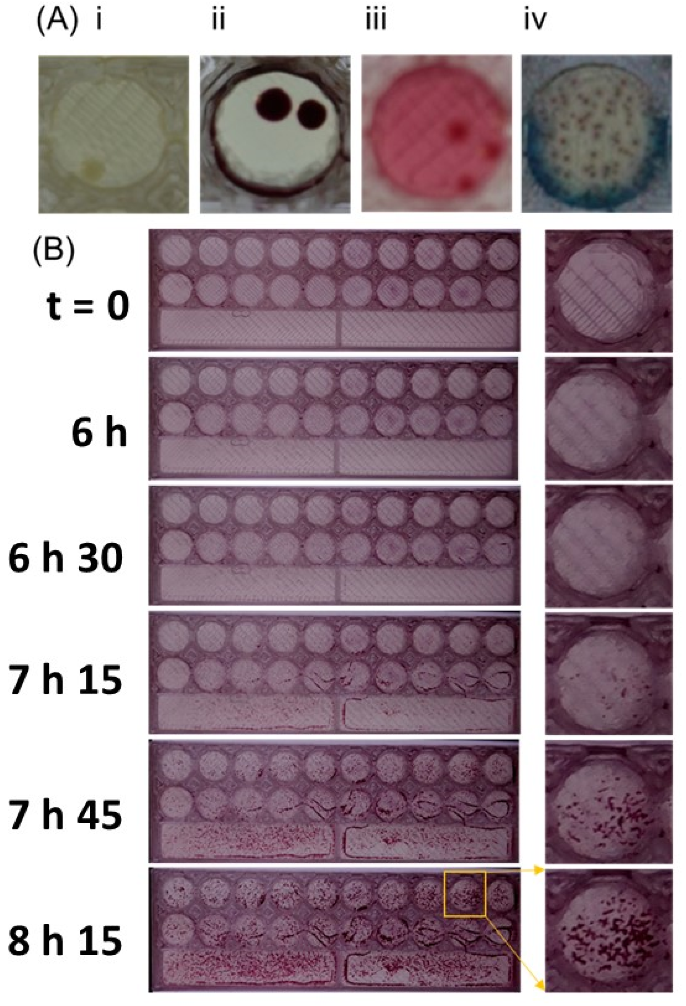 Micromachines 13 00941 g004