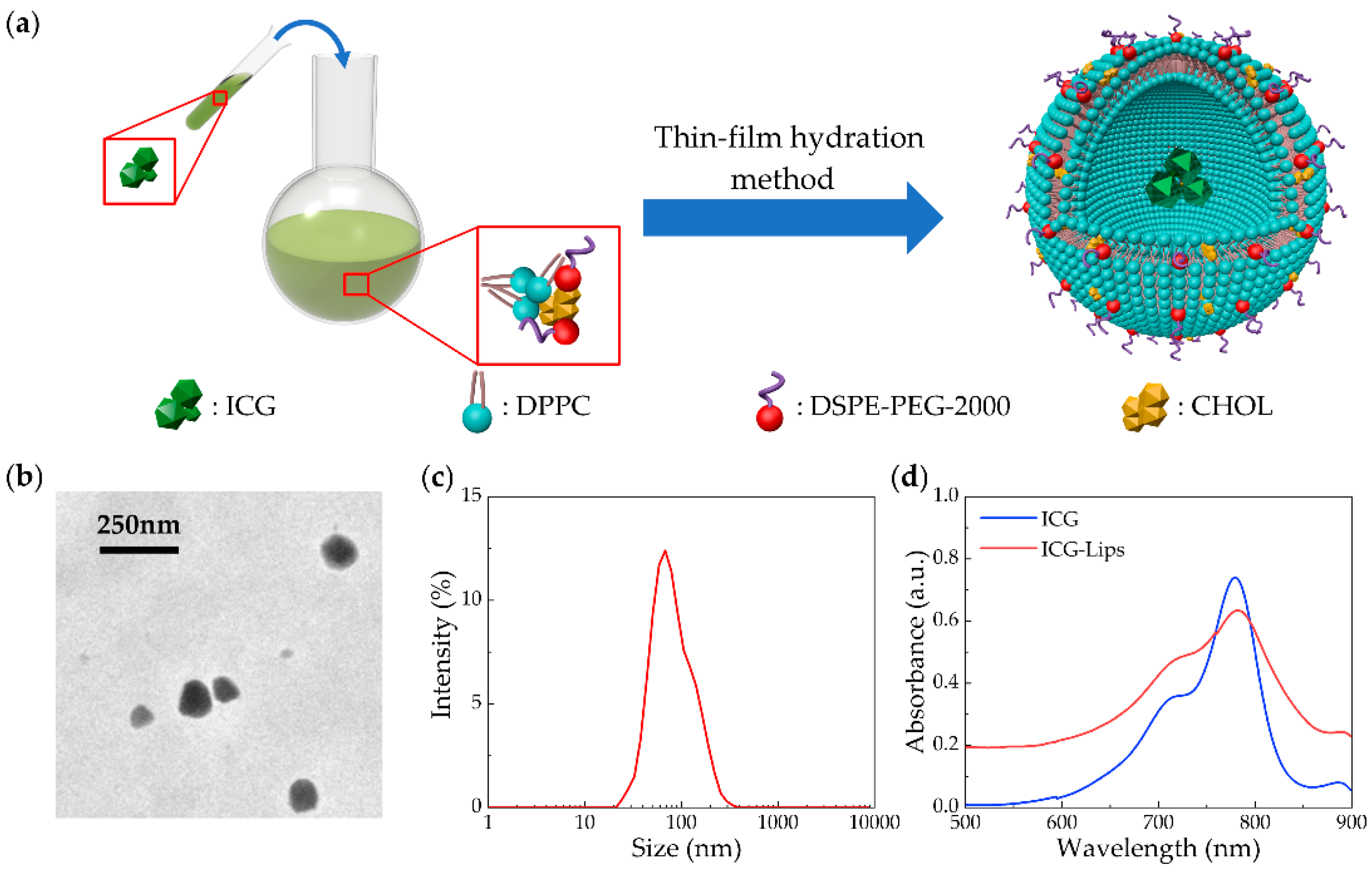Micromachines 13 00946 g006