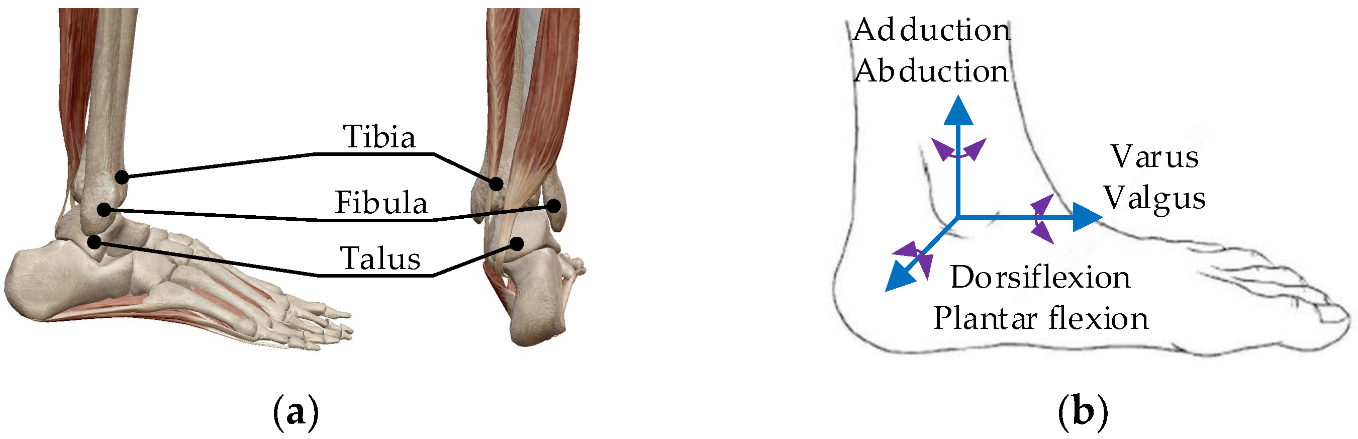 Micromachines 13 00950 g001