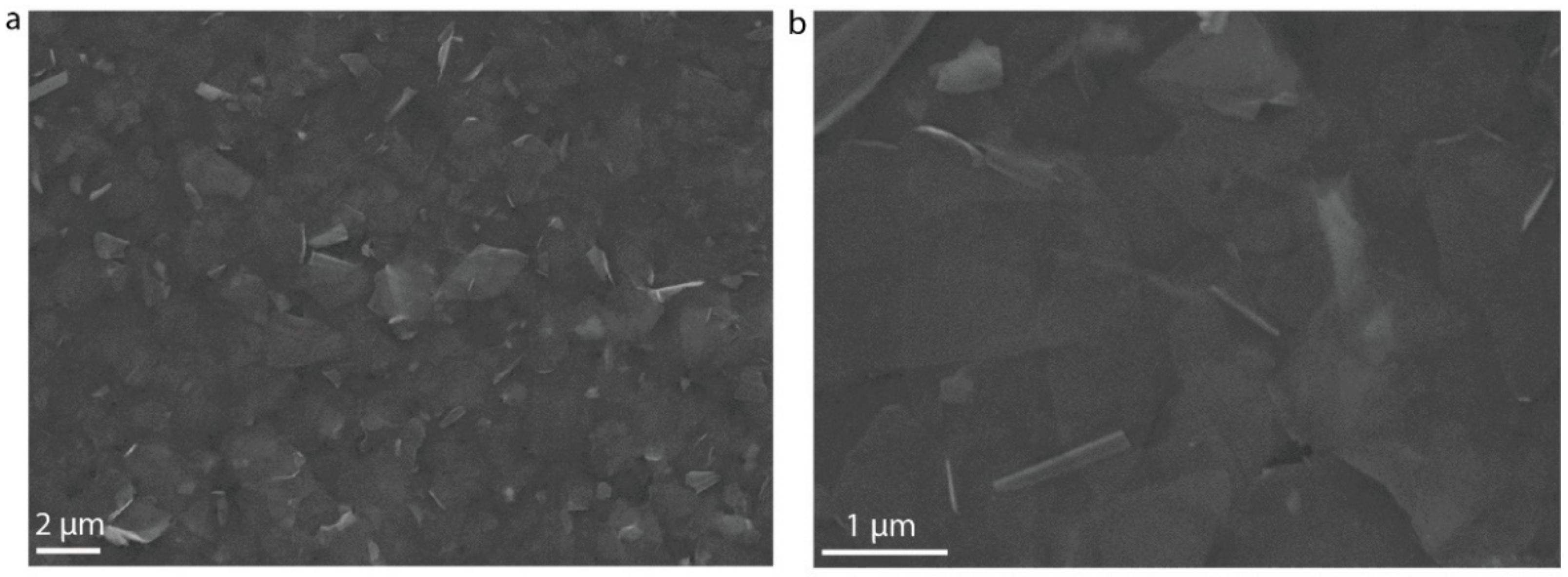 Micromachines 13 00956 g004 550