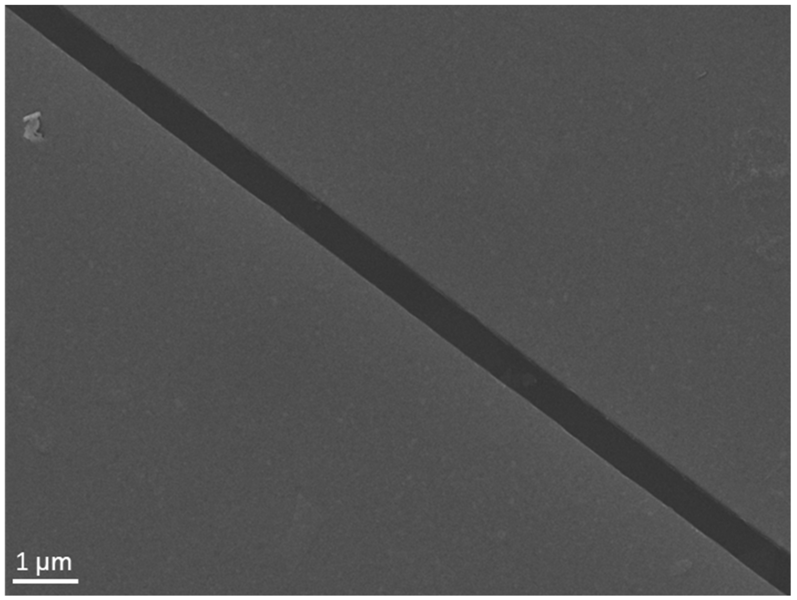 Micromachines 13 00956 g006 550