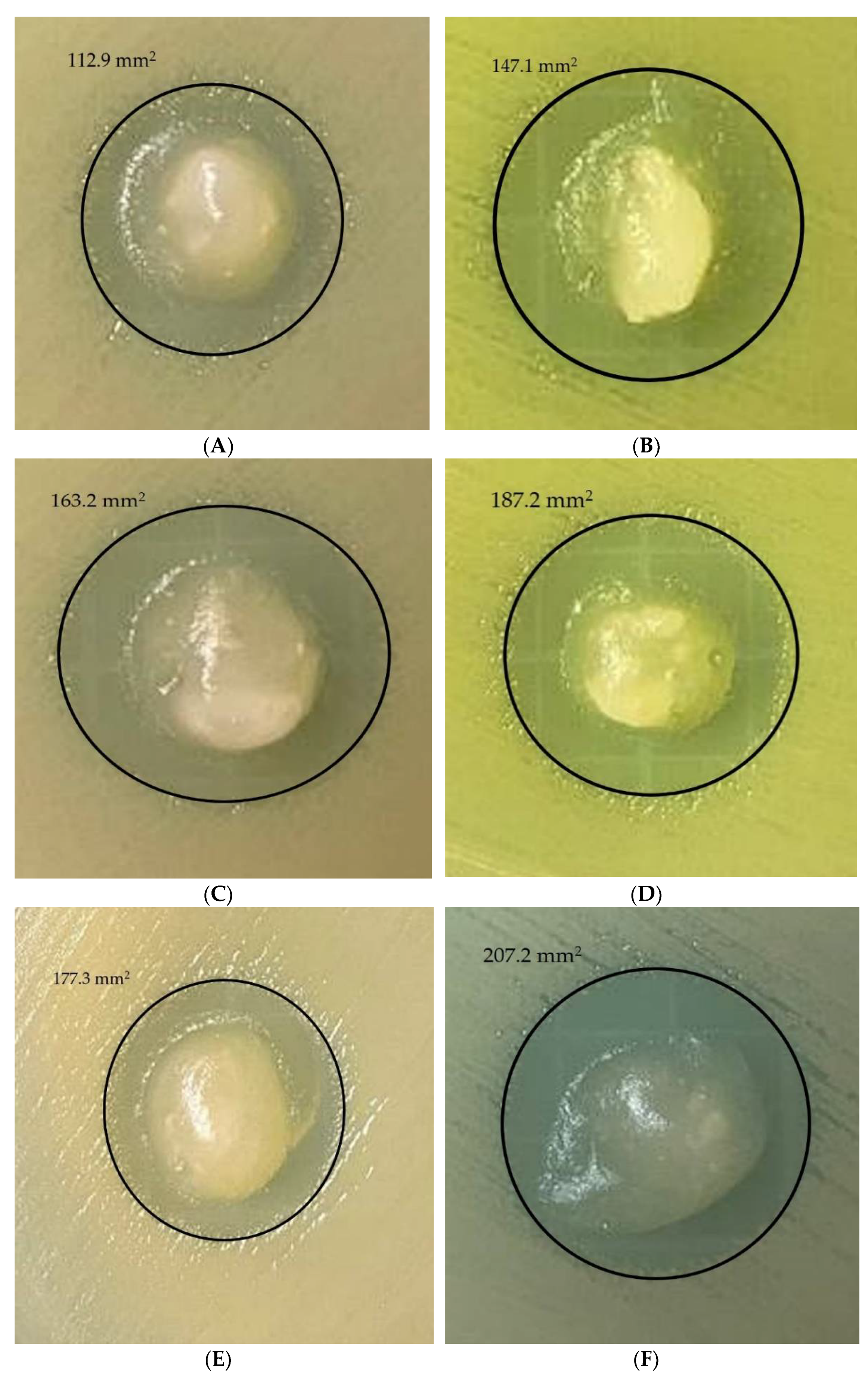 Micromachines 13 00960 g006a 550