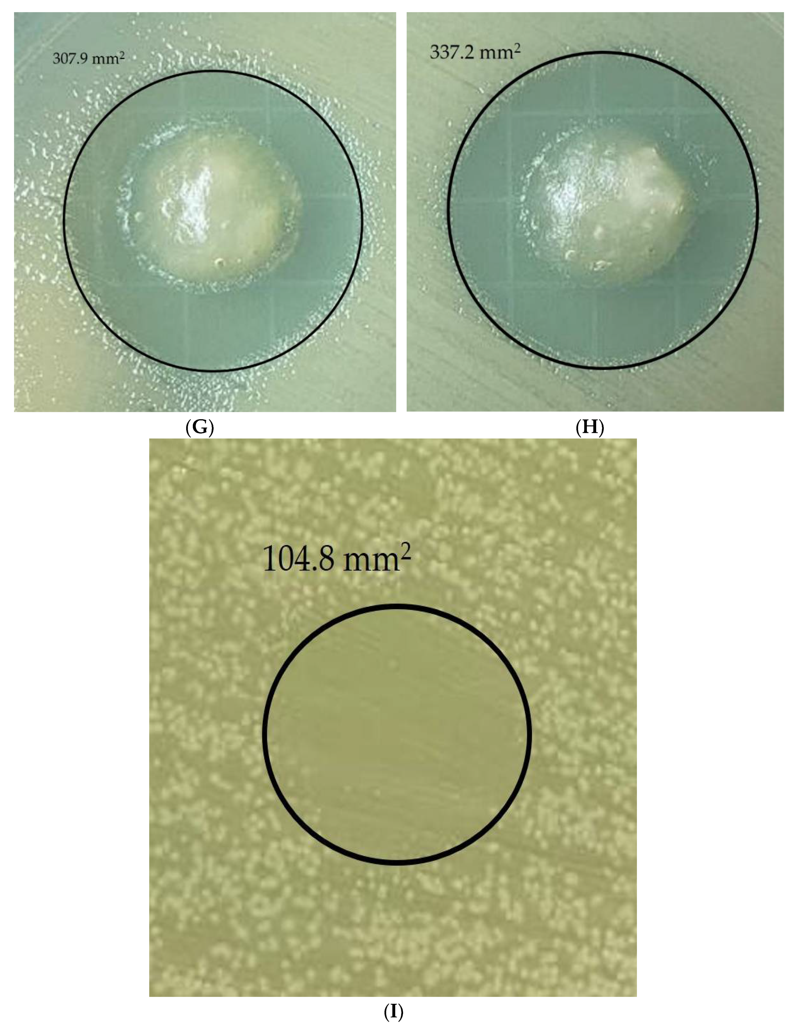 Micromachines 13 00960 g006b 550