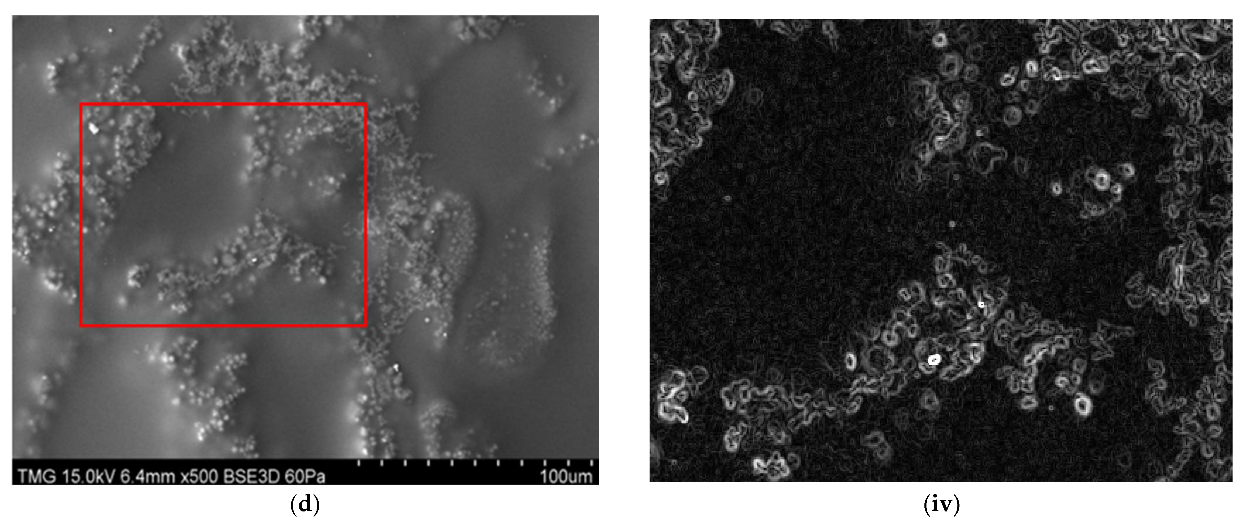 Micromachines 13 00960 g008b 550