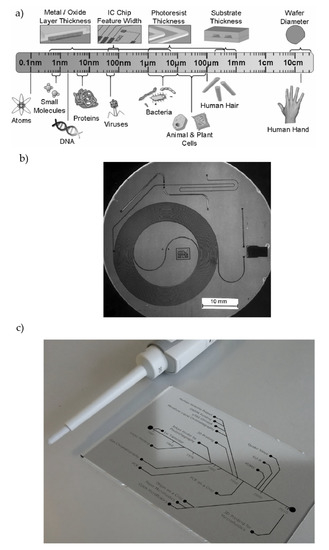 Micromachines | Free Full-Text | A Critical Review on the ...