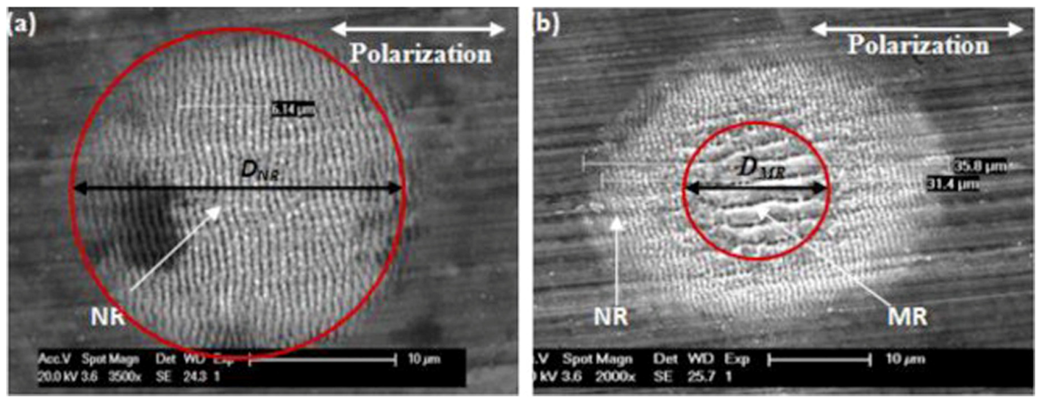 Micromachines 13 00976 g003
