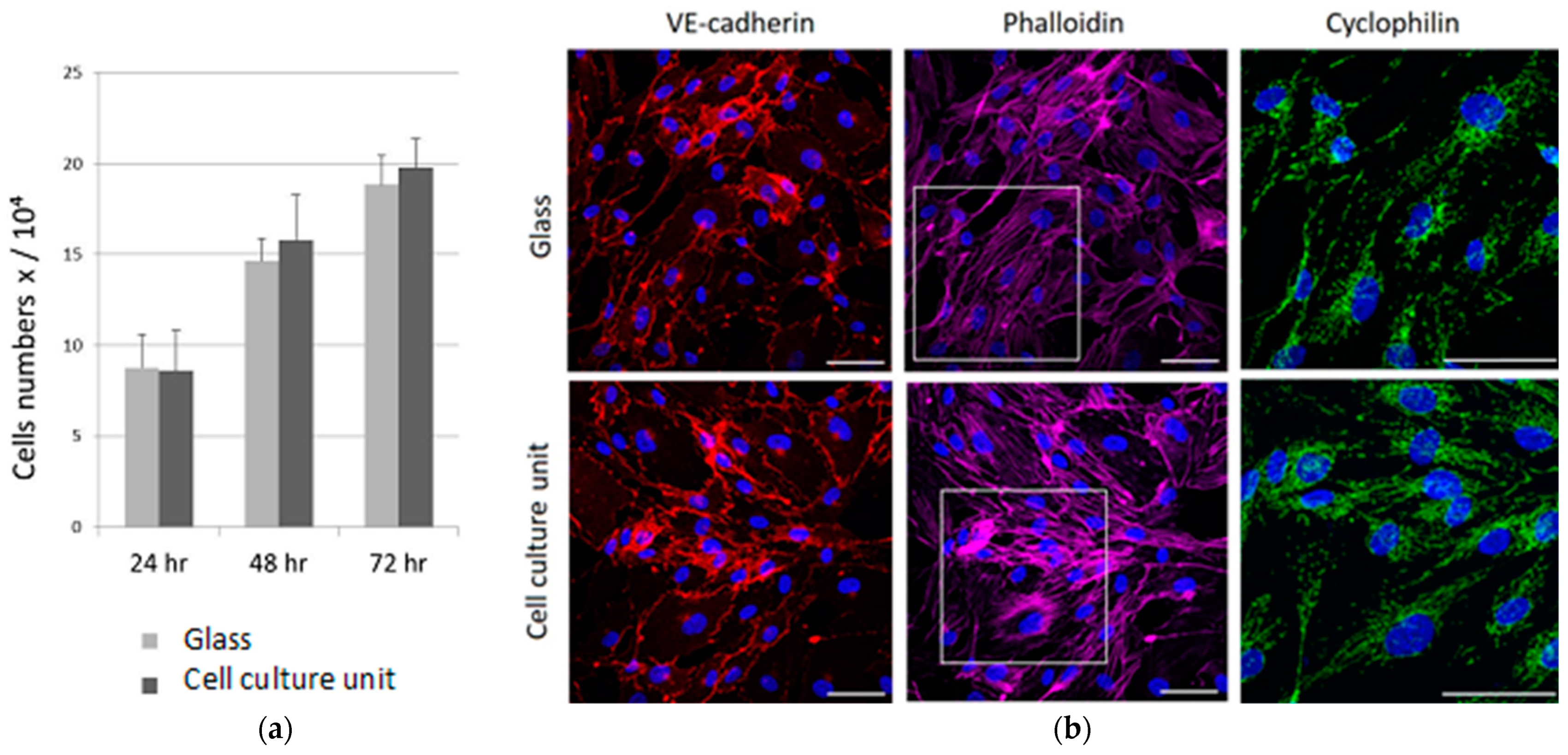 Micromachines 13 00994 g004