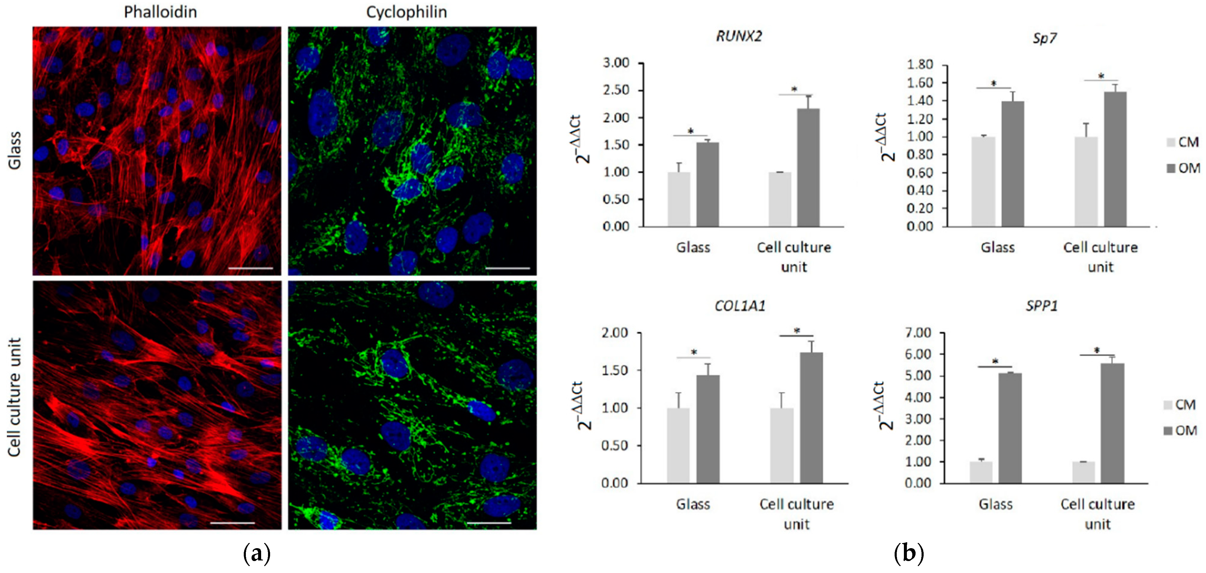 Micromachines 13 00994 g005