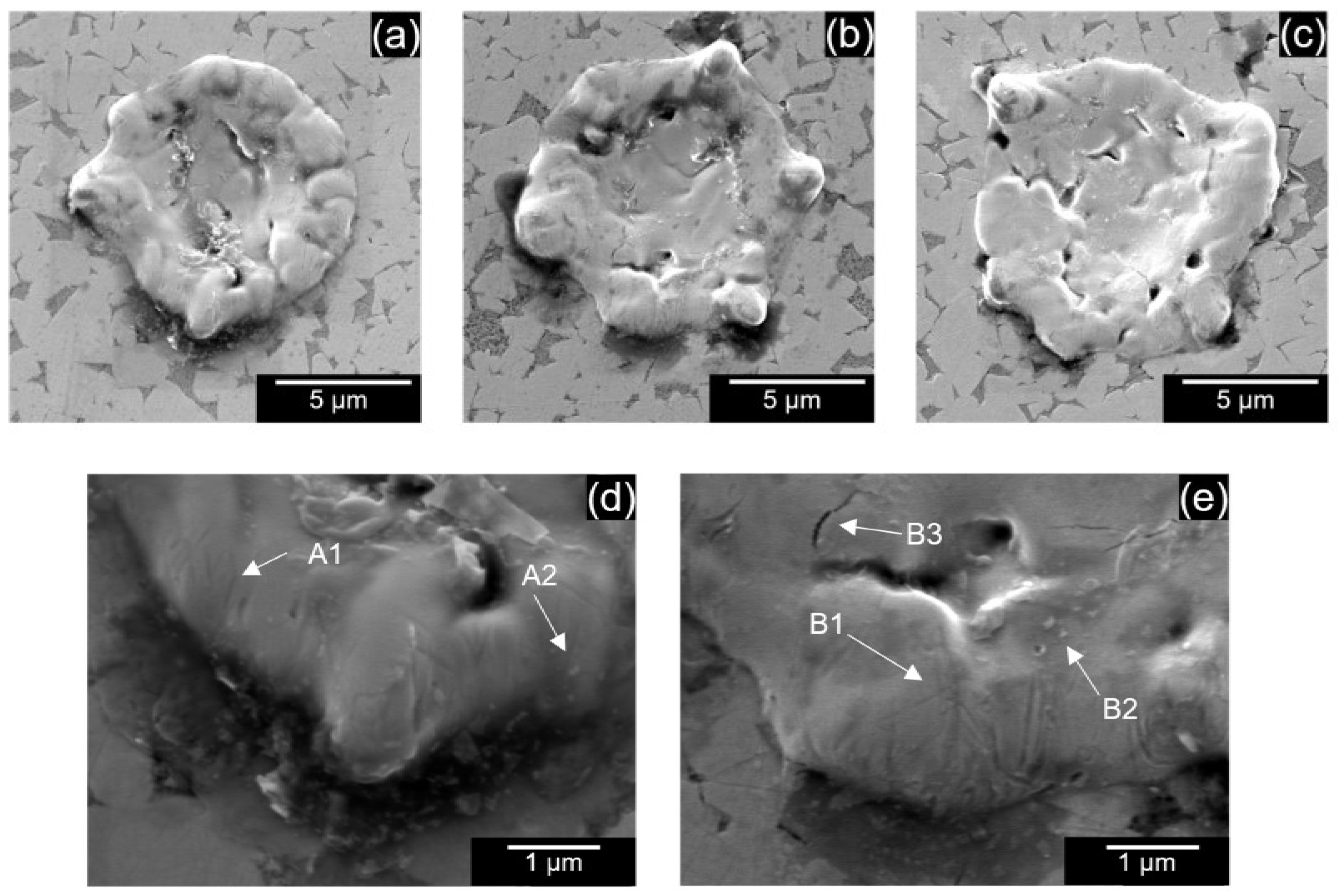 Micromachines 13 00998 g005 550