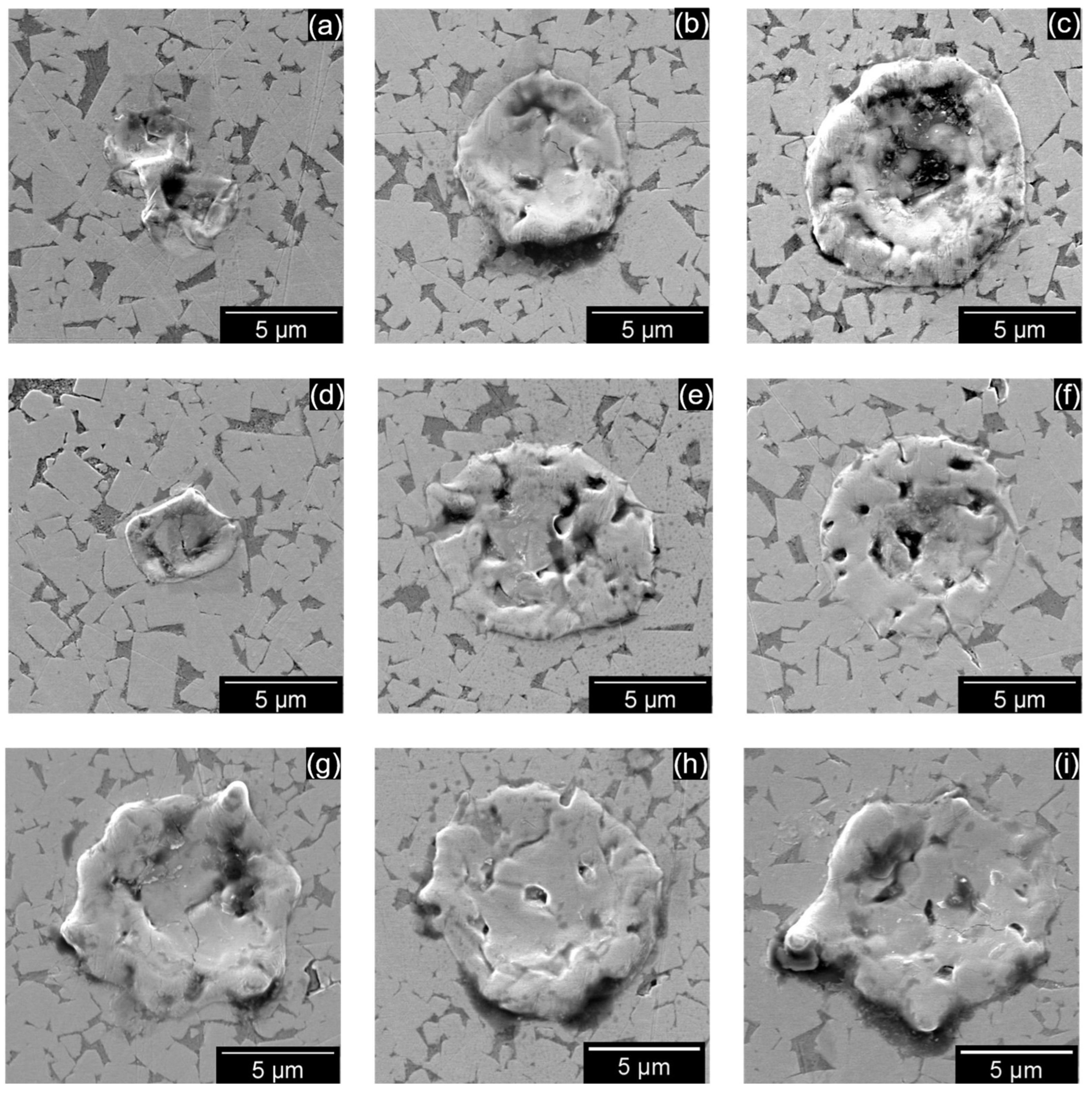 Micromachines 13 00998 g006 550
