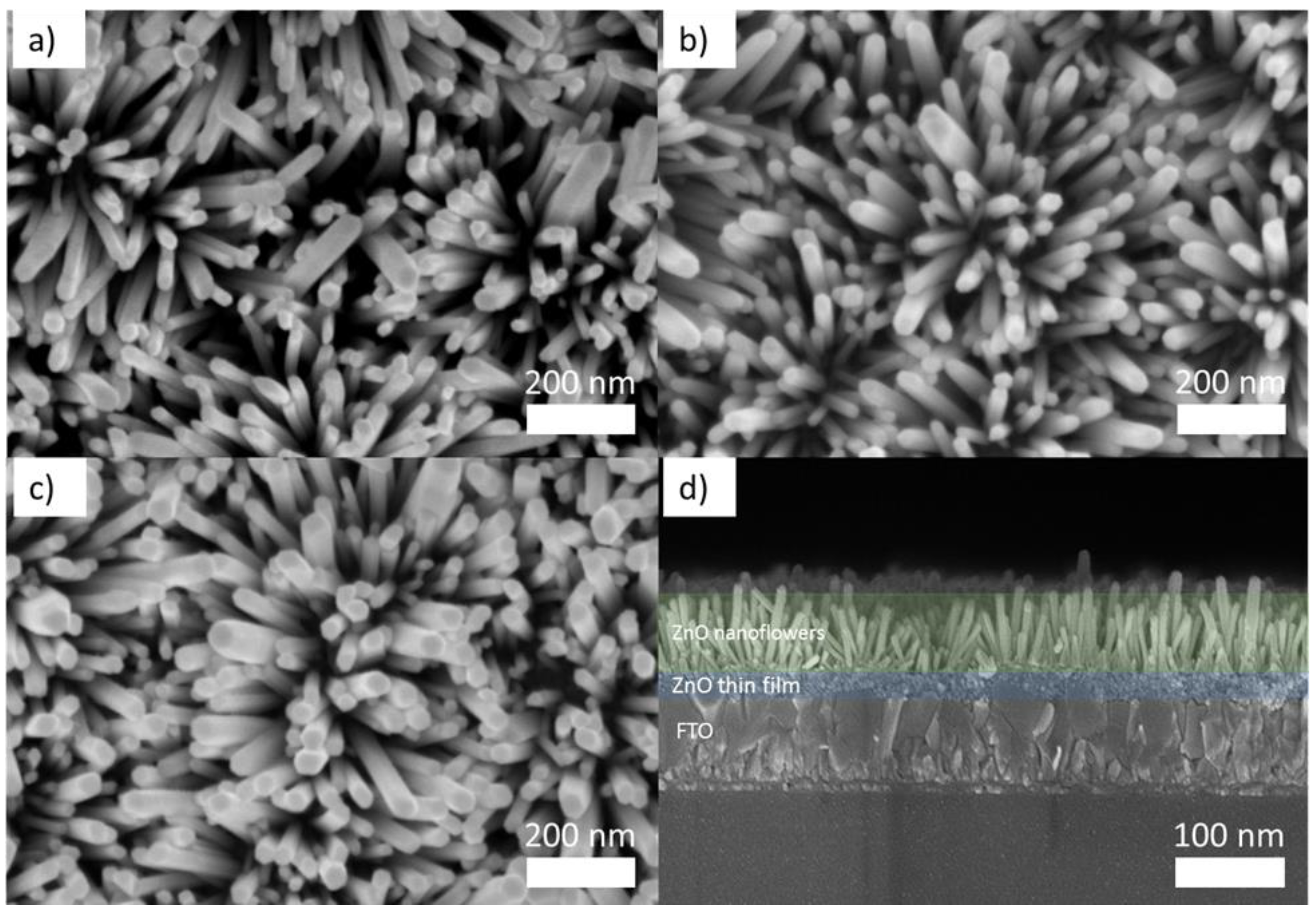 Micromachines 13 00999 g001