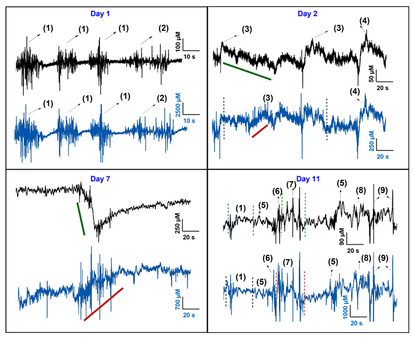 Micromachines 13 01008 g006 550