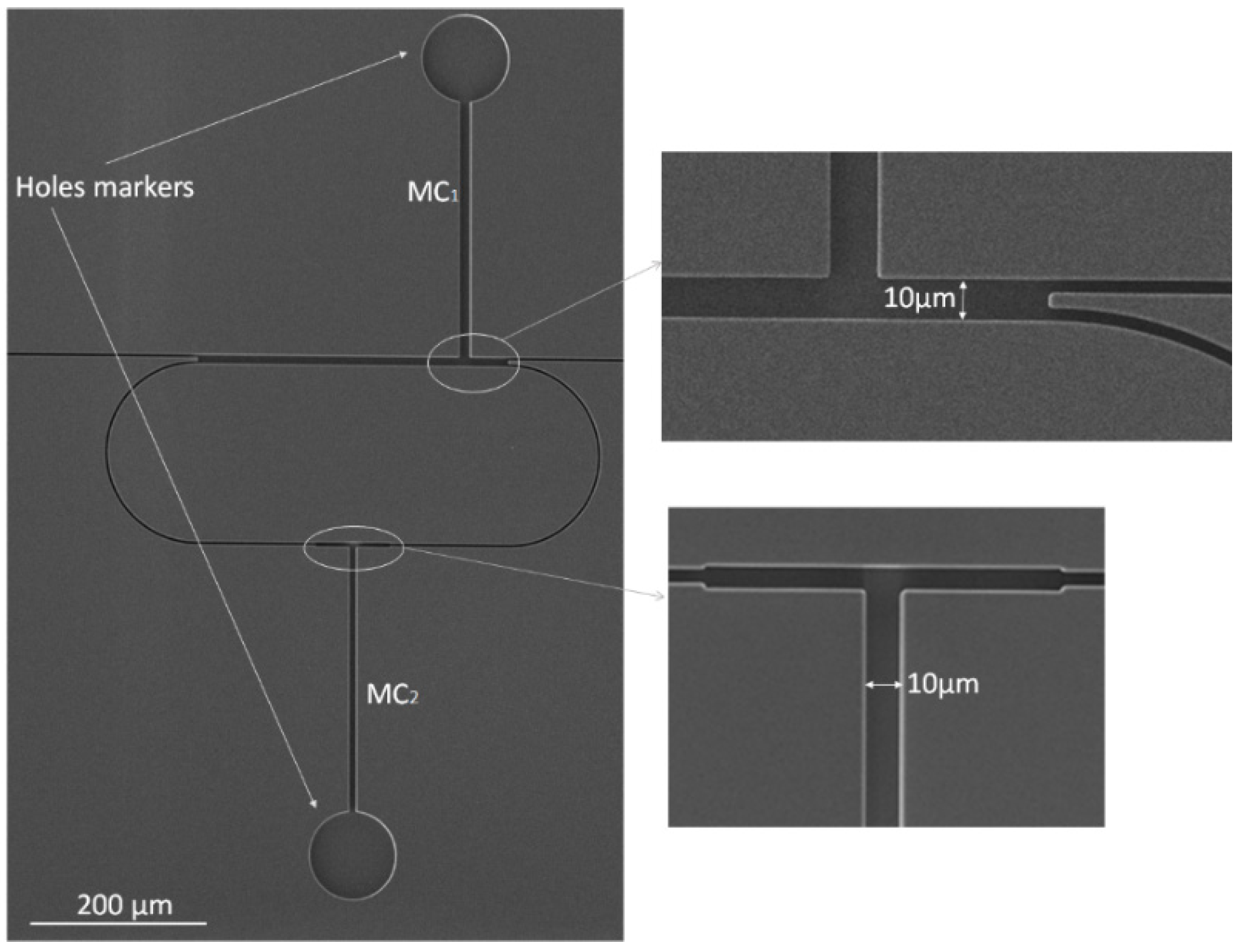 Micromachines 13 01028 g008