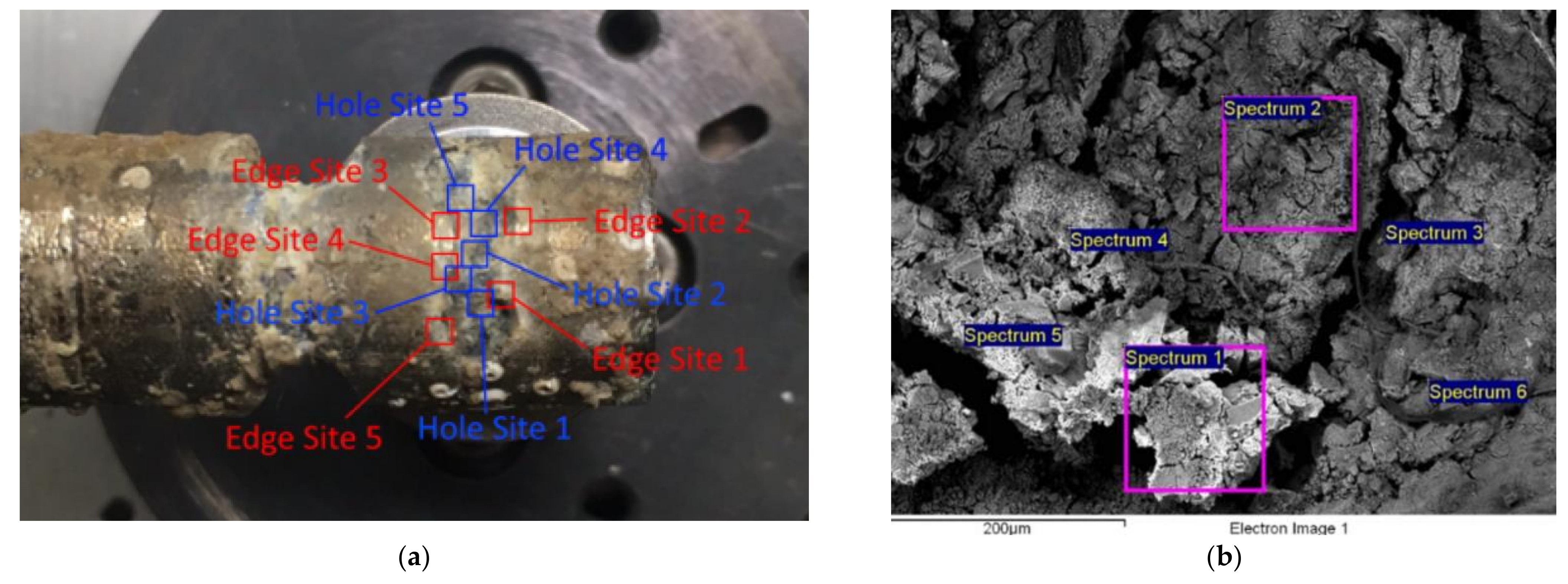 Micromachines 13 01031 g006 550
