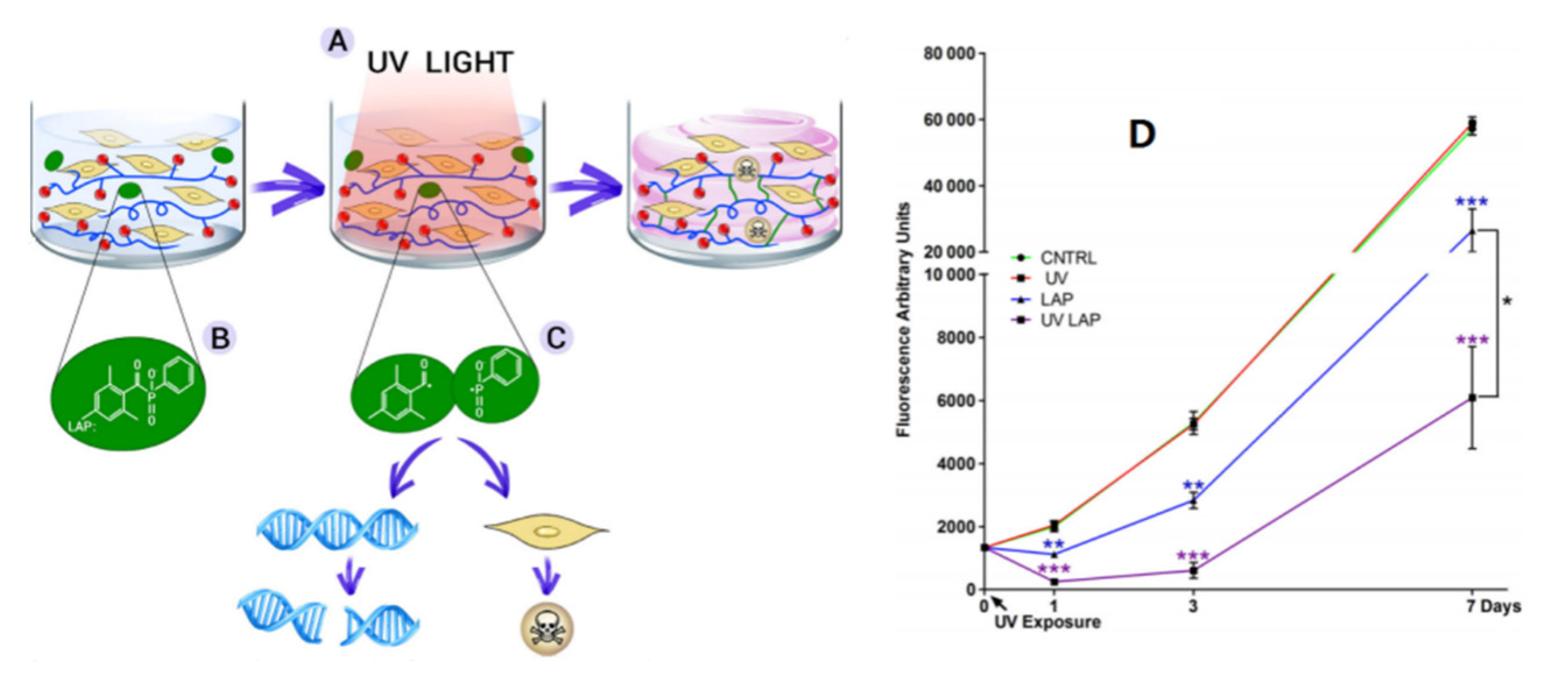Micromachines 13 01038 g005 550