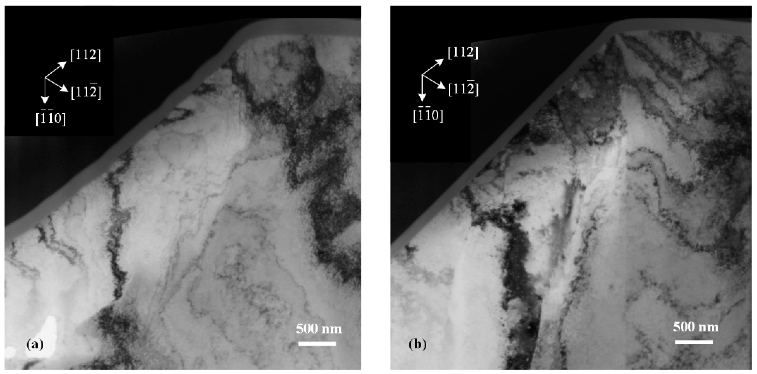 Micromachines 13 01043 g007
