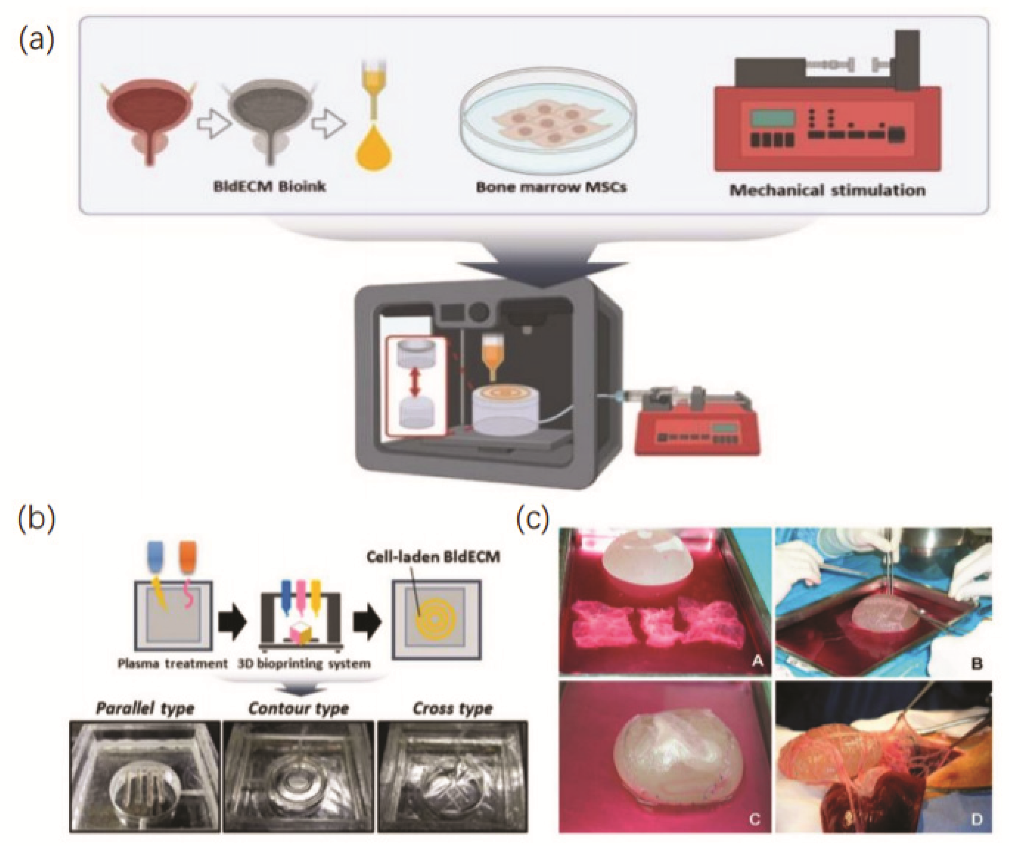 Micromachines 13 01073 g004