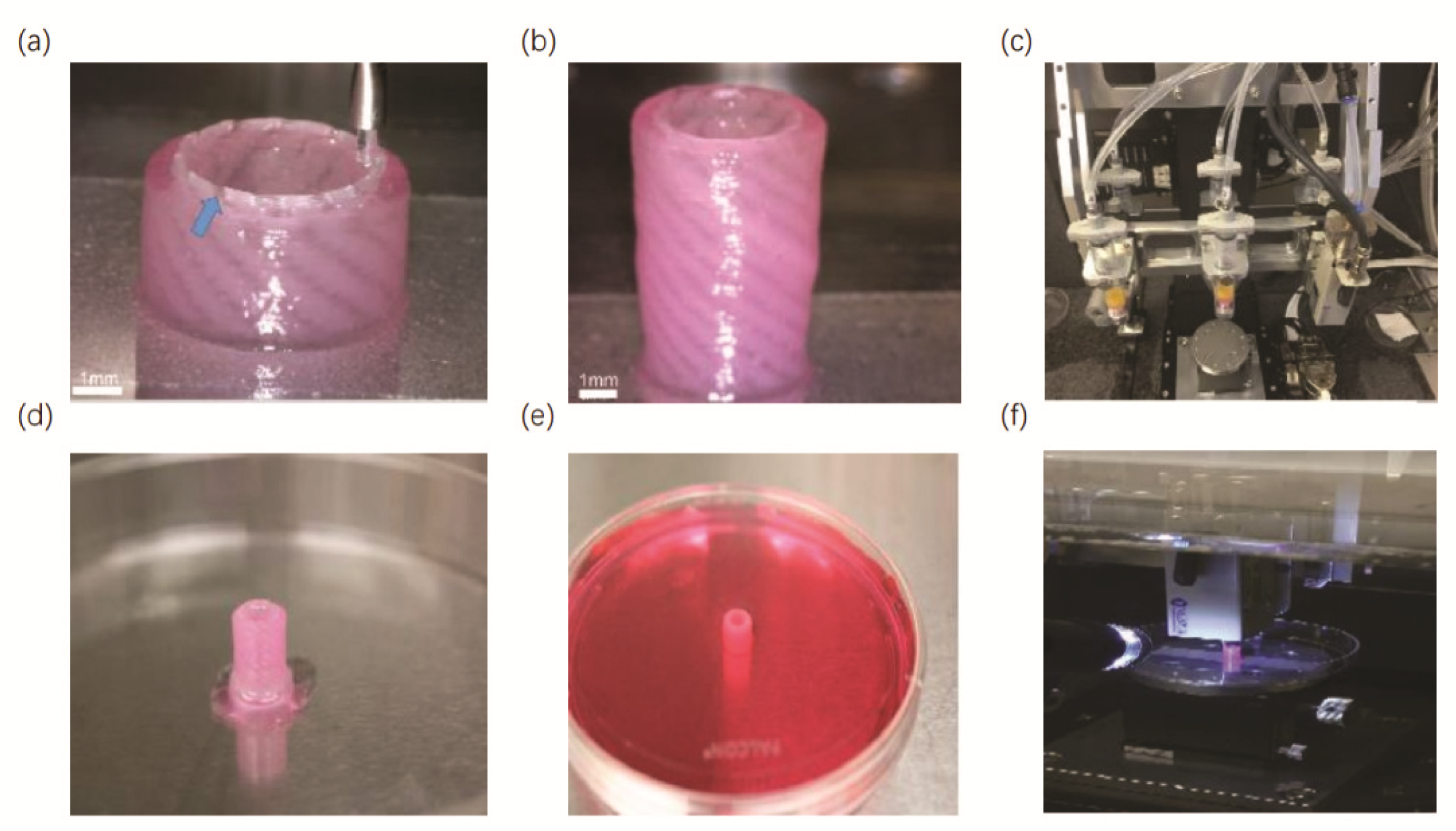 Micromachines 13 01073 g005
