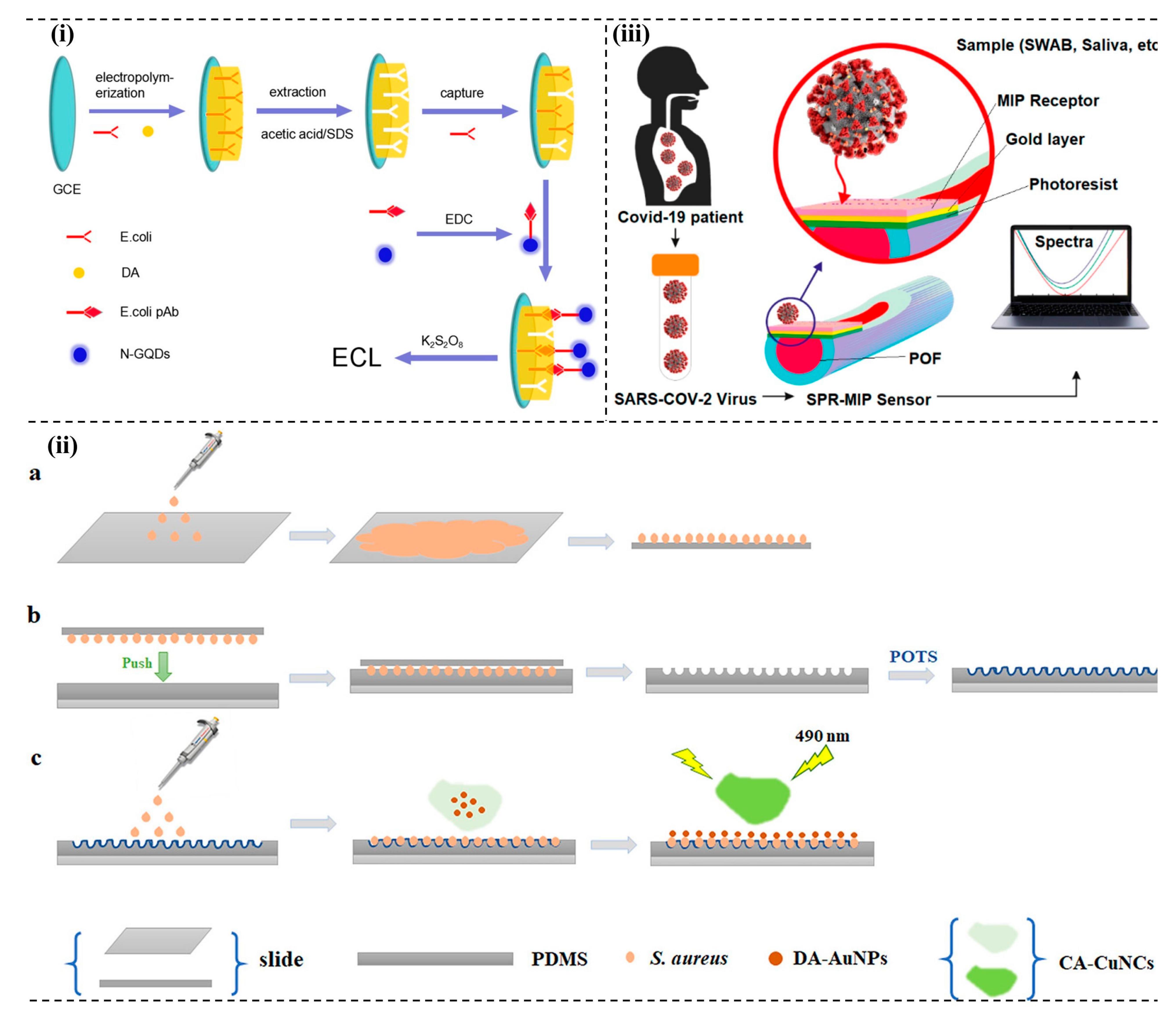 Emerging Bioanalytical Devices and Platforms for Rapid