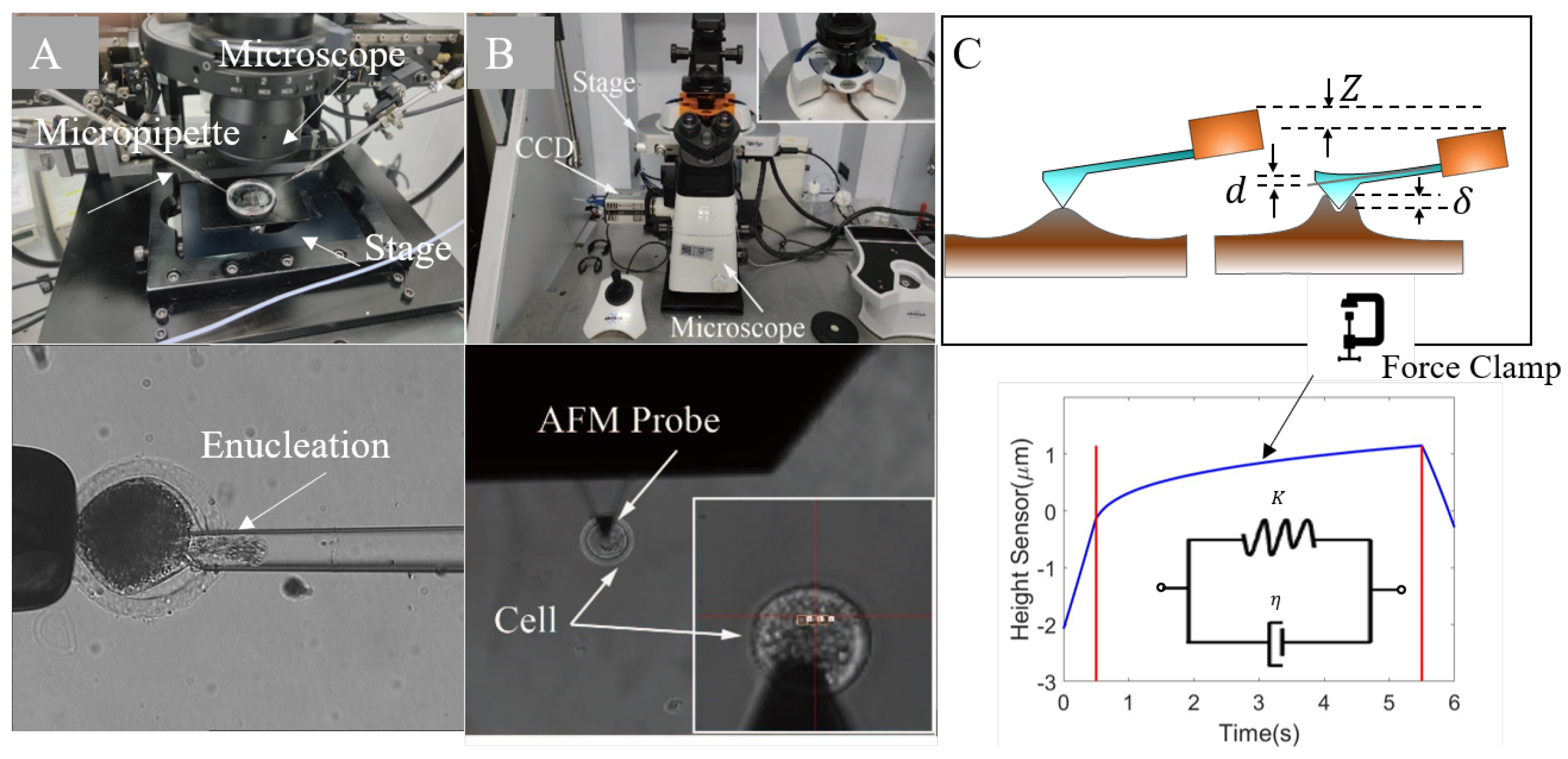 Micromachines 13 01087 g001
