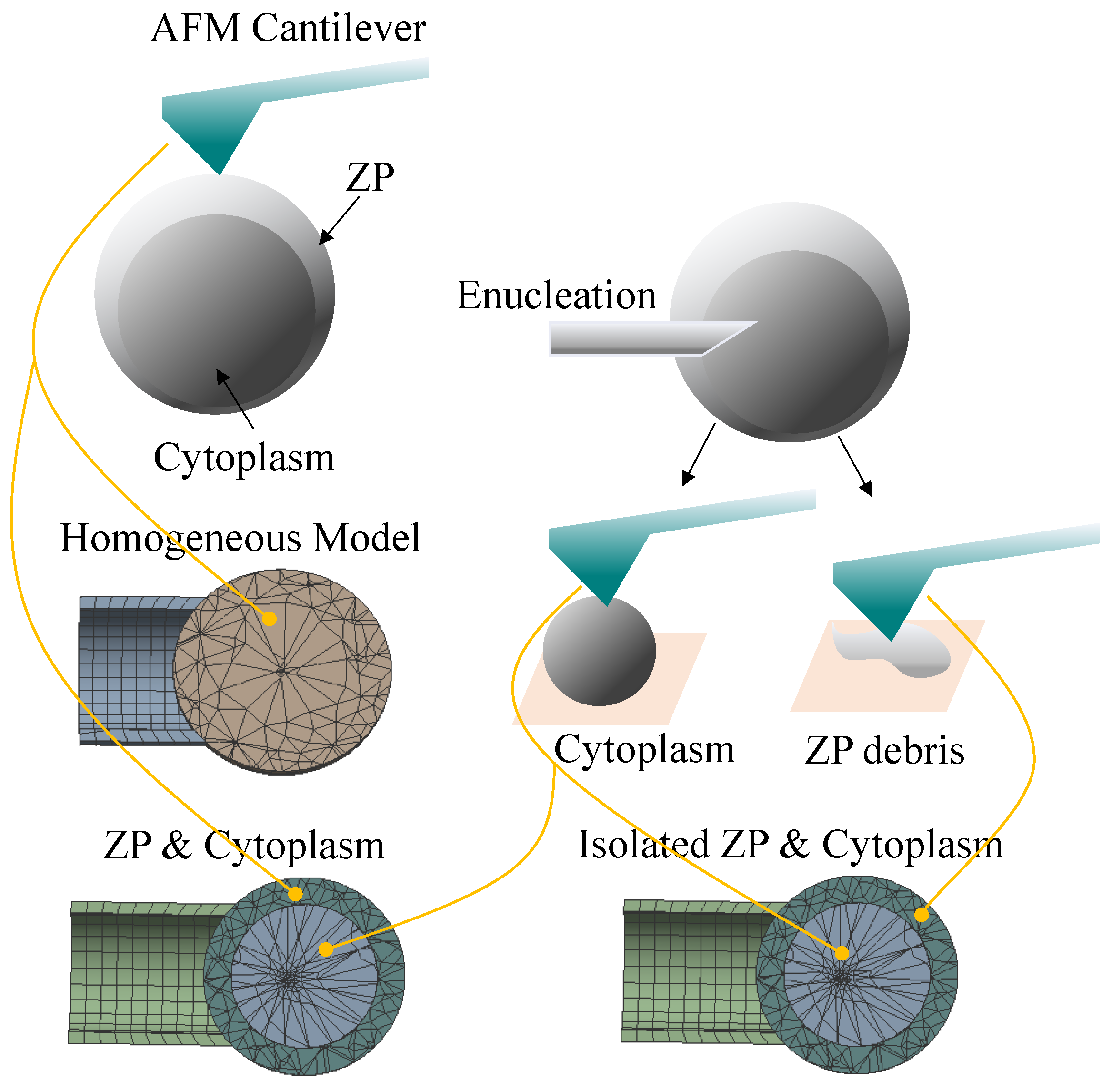 Micromachines 13 01087 g002