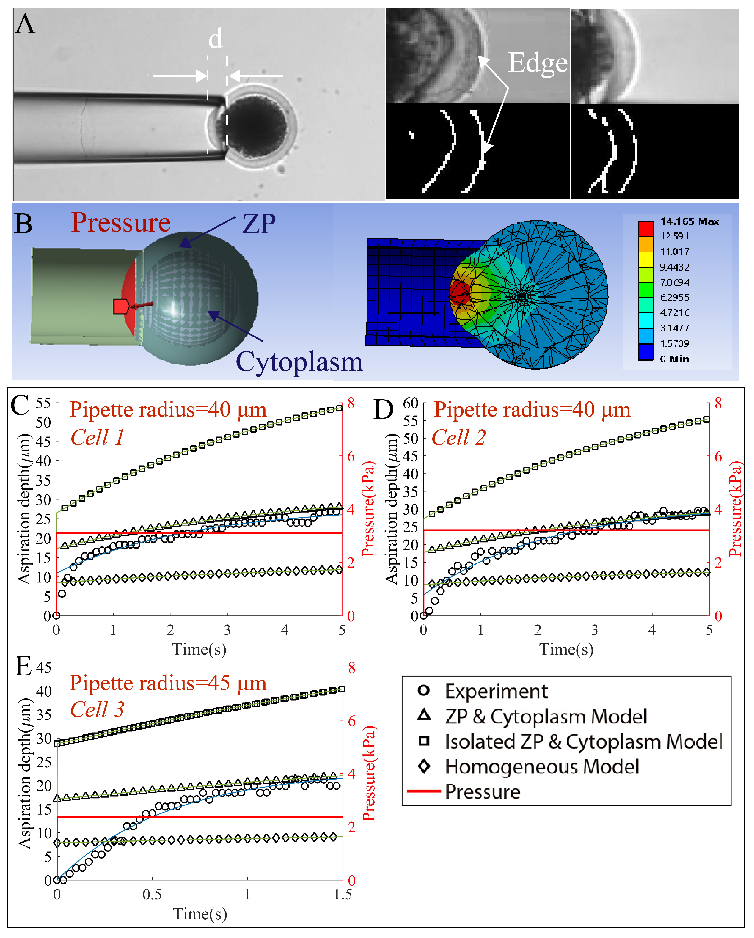 Micromachines 13 01087 g006