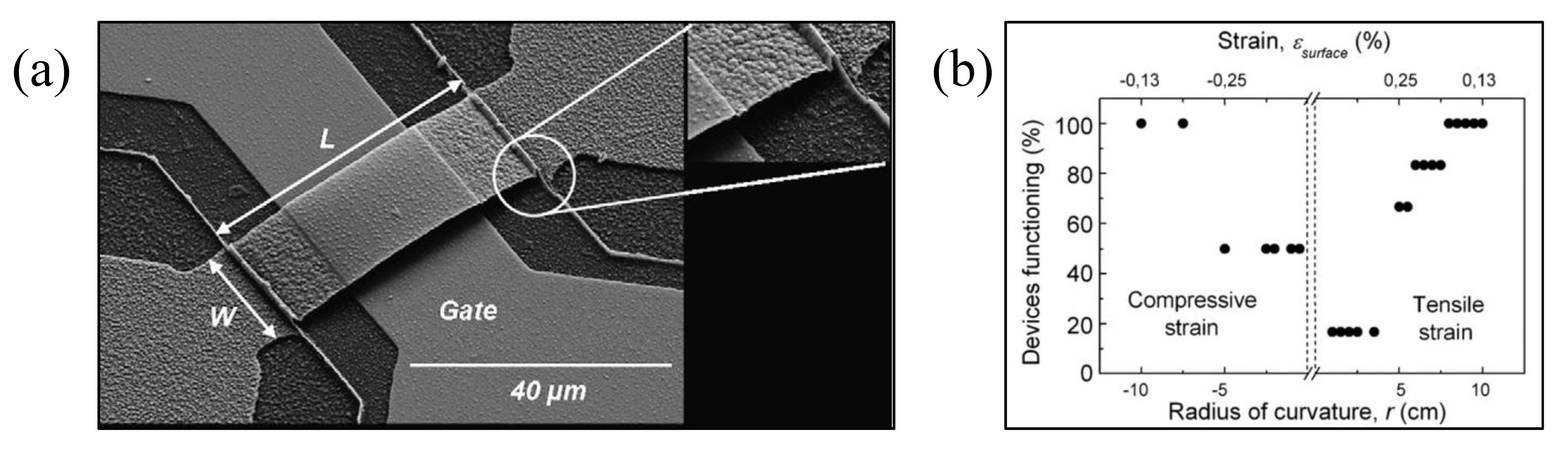 Micromachines 13 01088 g002