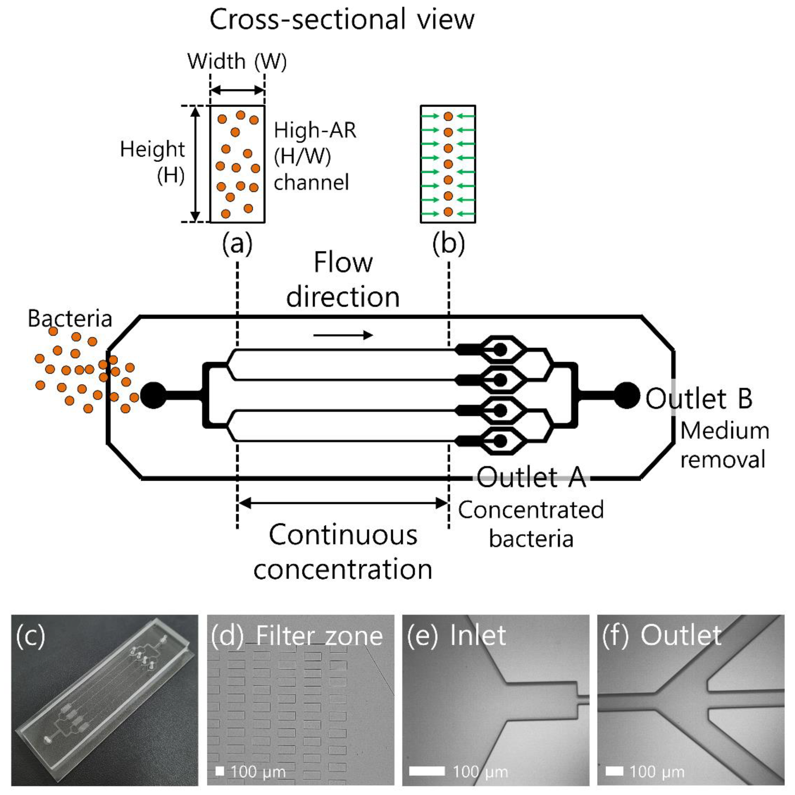 Micromachines 13 01093 g001 550