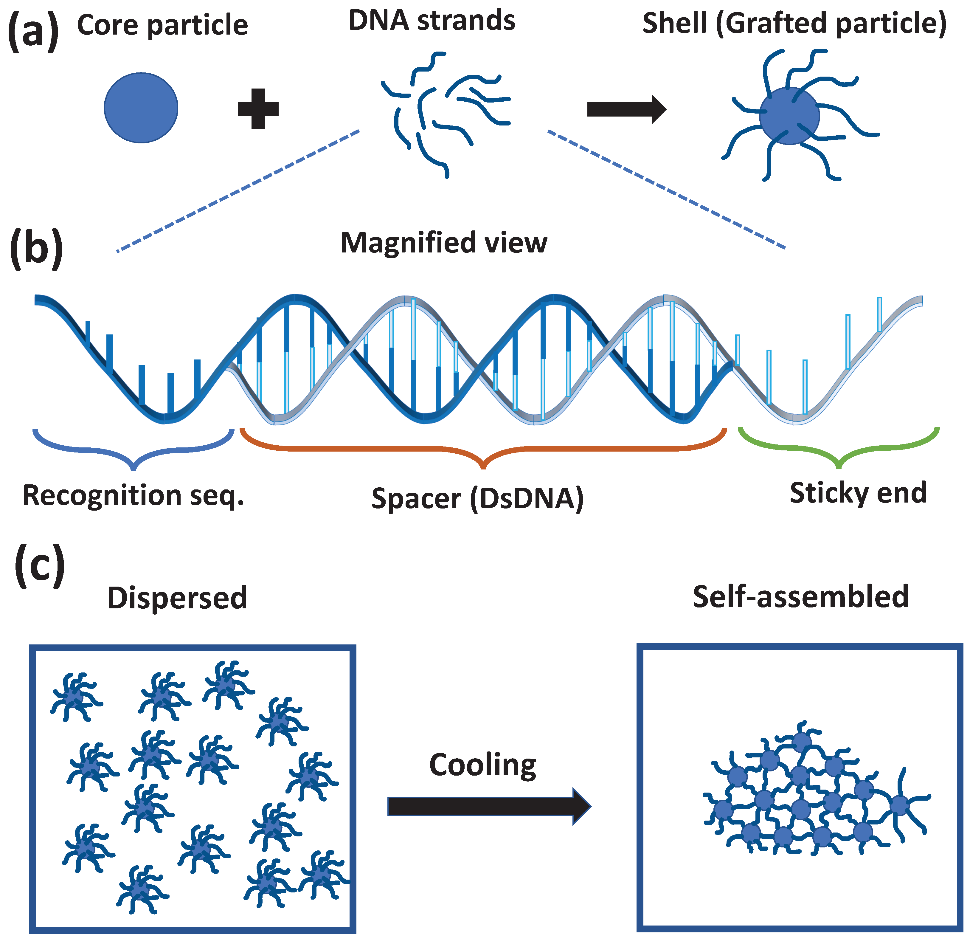 Micromachines 13 01102 g001