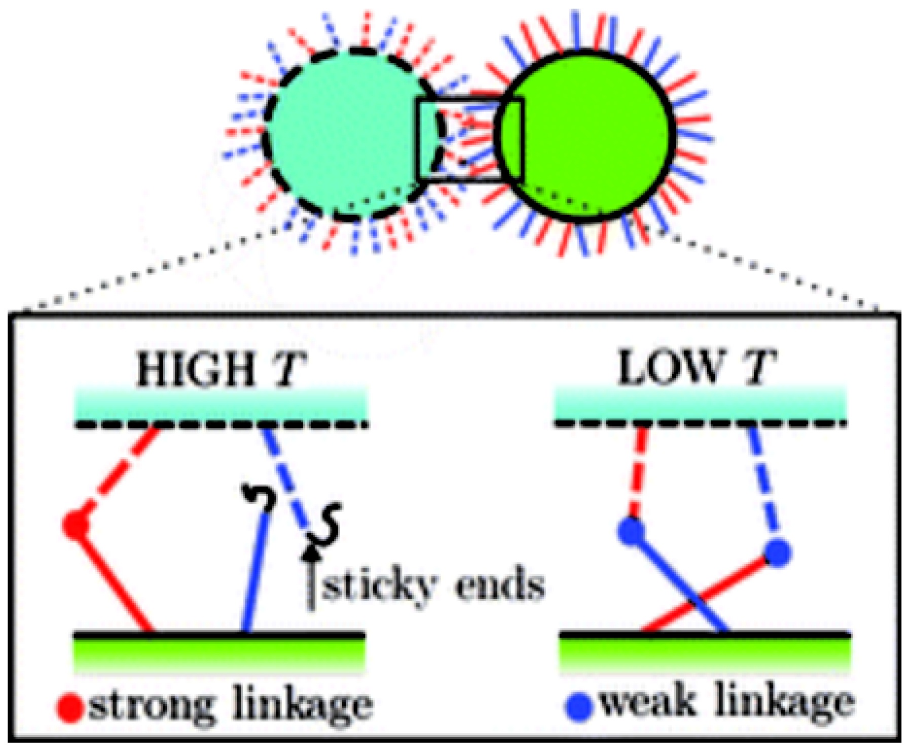 Micromachines 13 01102 g006