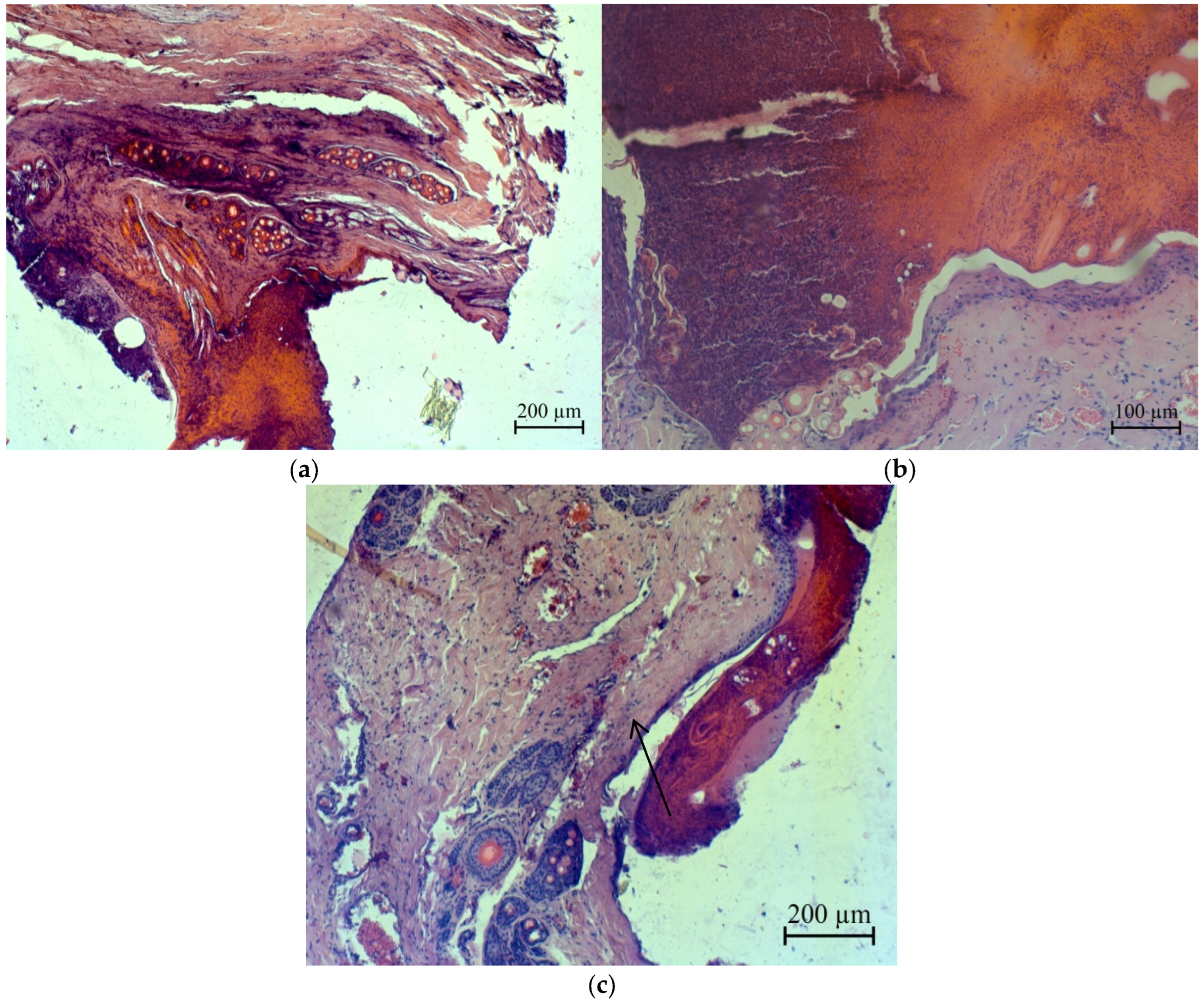 Micromachines 13 01105 g020 Micromachines 13 01105 g020