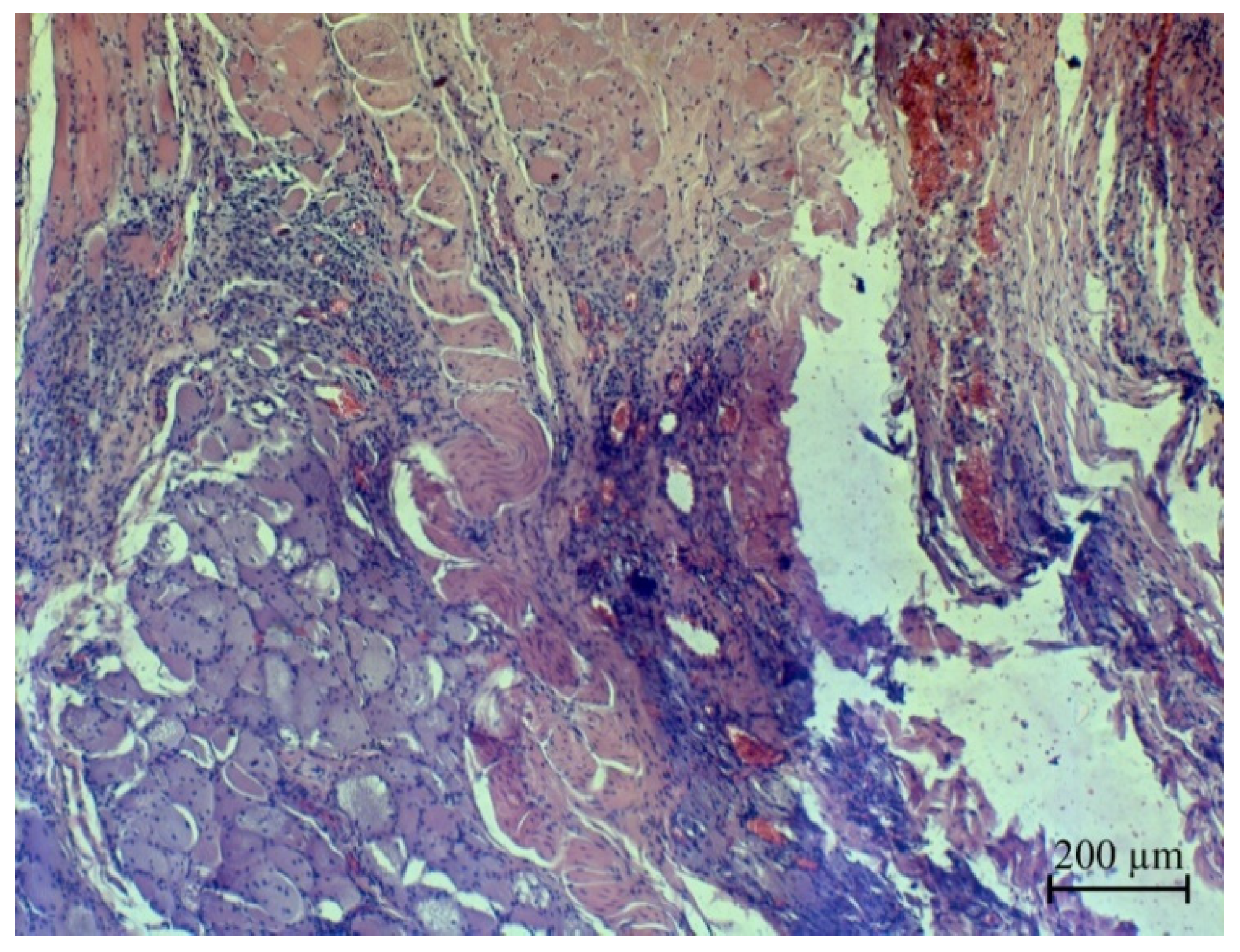 Micromachines 13 01105 g021 Micromachines 13 01105 g021