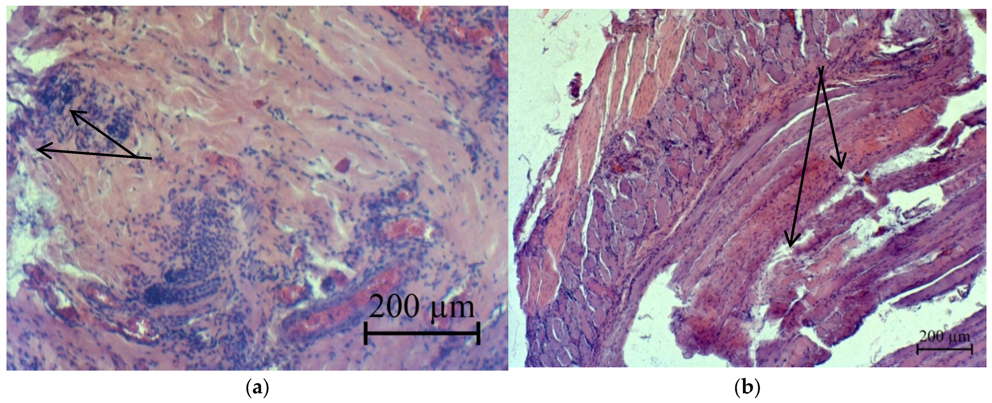 Micromachines 13 01105 g023 Micromachines 13 01105 g023