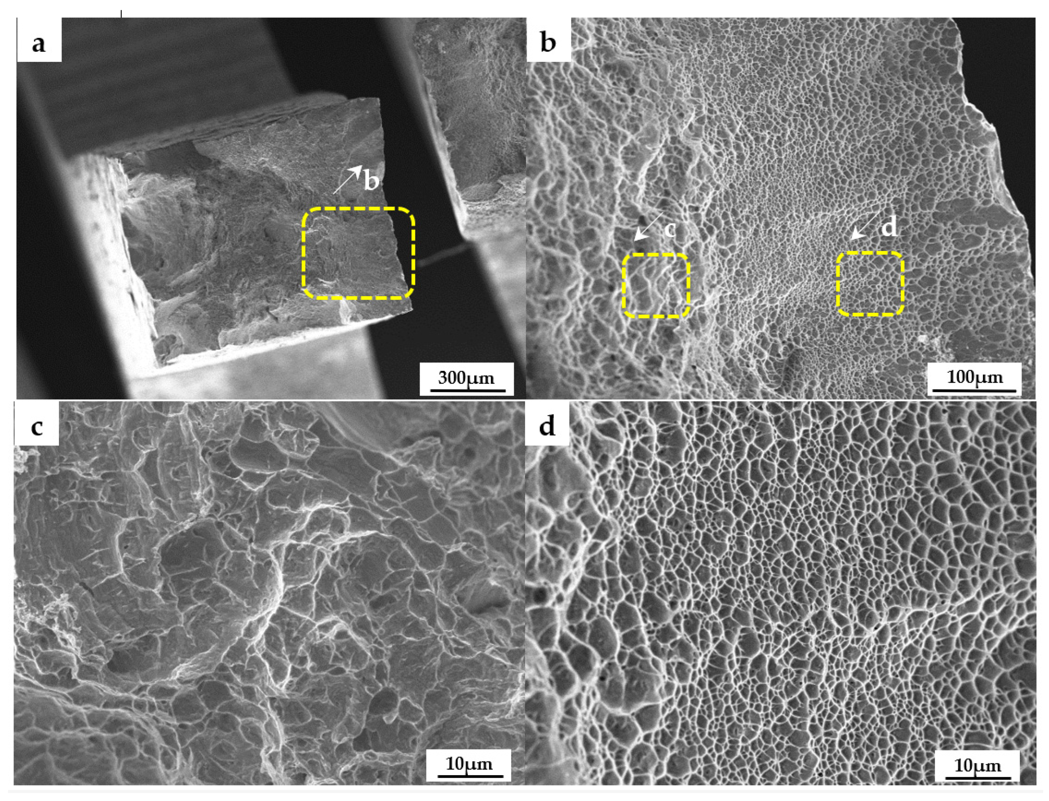 Micromachines 13 01107 g006