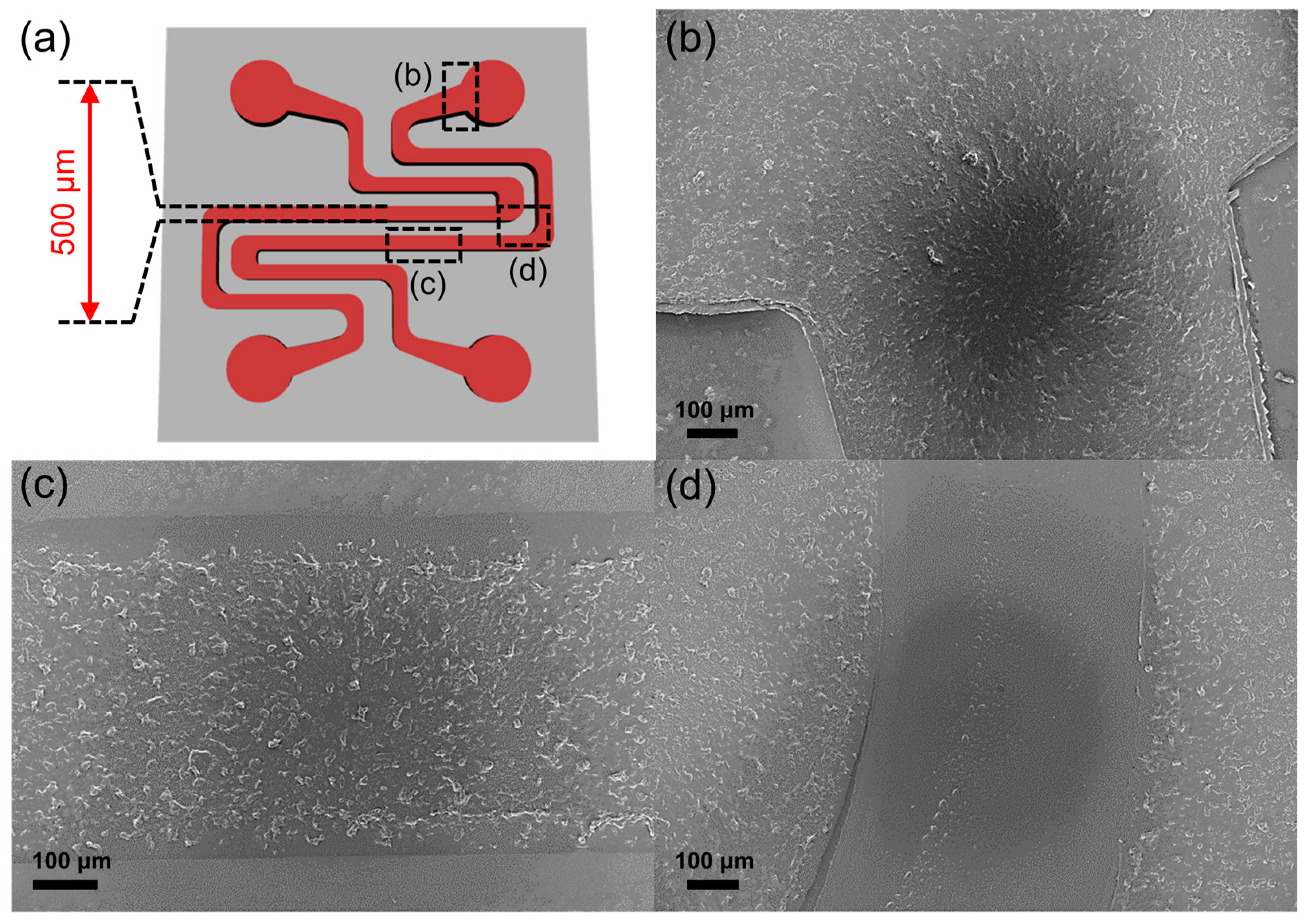 Micromachines 13 01113 g006 Micromachines 13 01113 g006