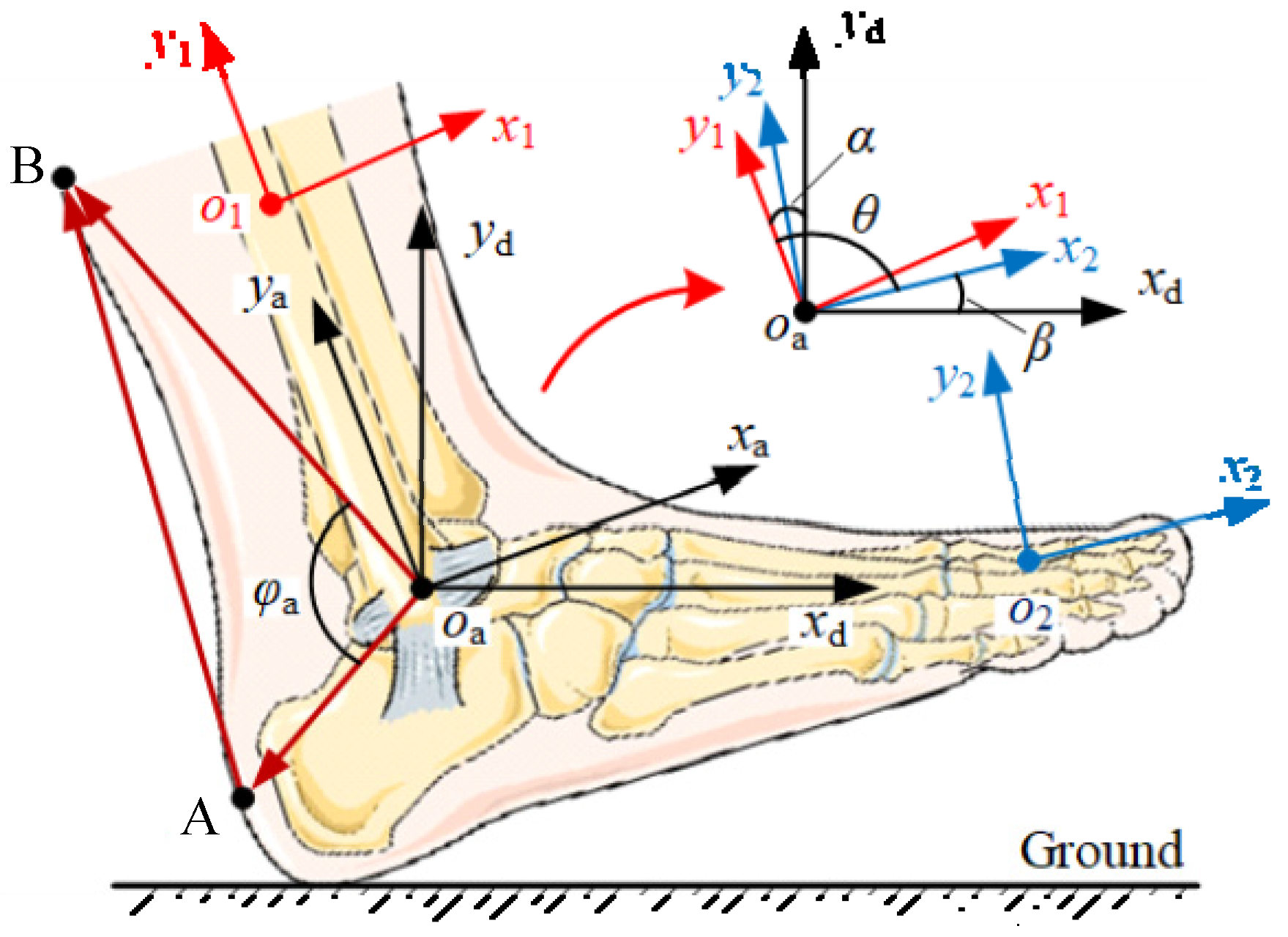 Micromachines 13 01114 g005 550
