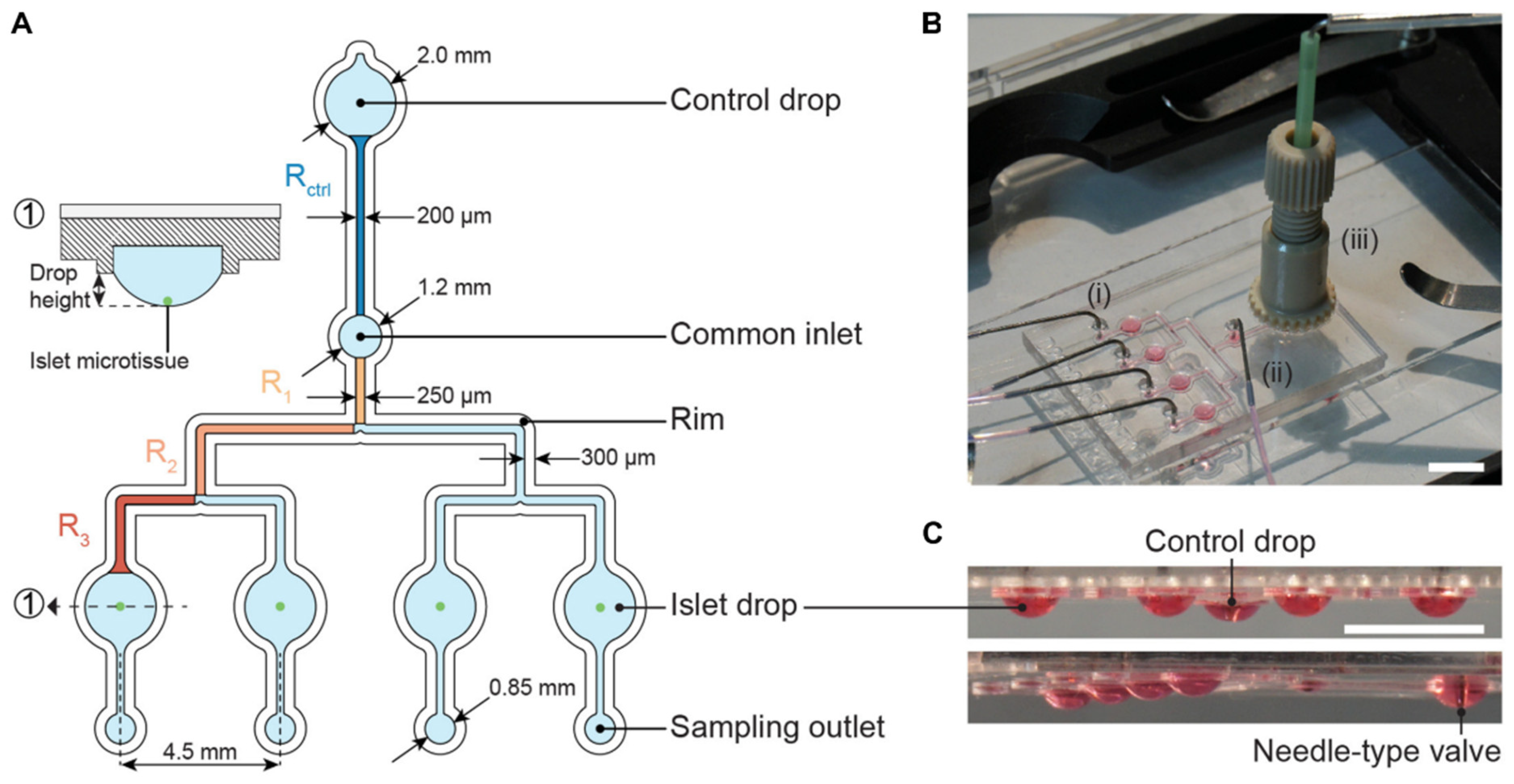 Micromachines 13 01124 g009 550
