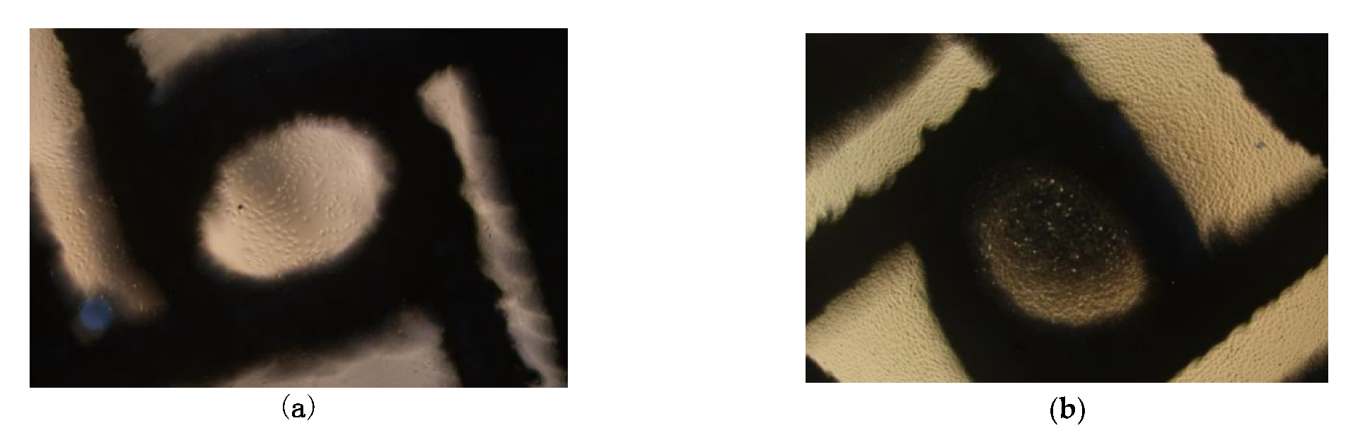 Micromachines 13 01135 g010 550