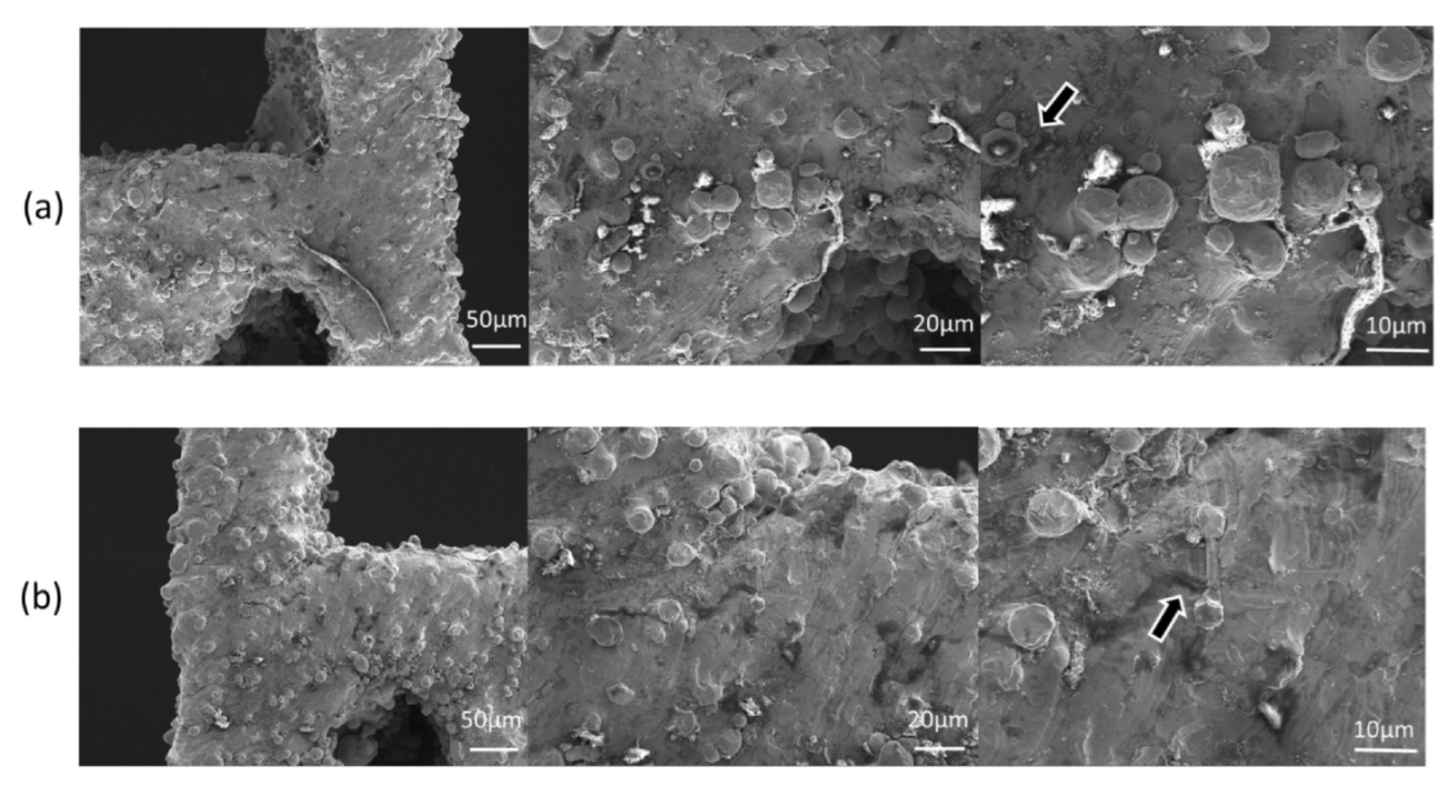 Micromachines 13 01135 g011 550