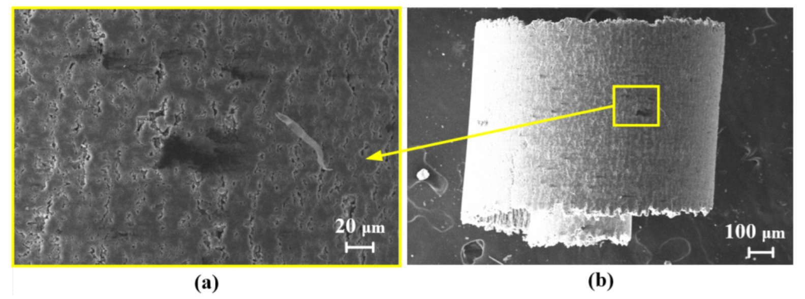 Micromachines 13 01141 g009