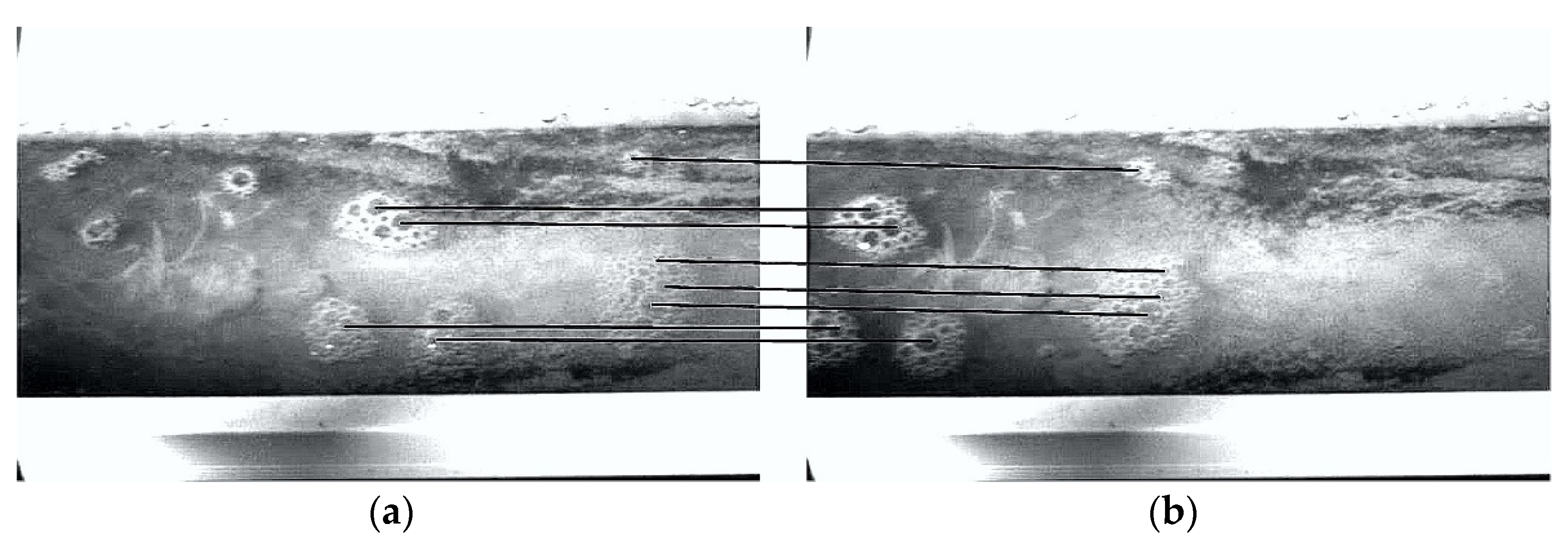 Micromachines 13 01167 g010 550