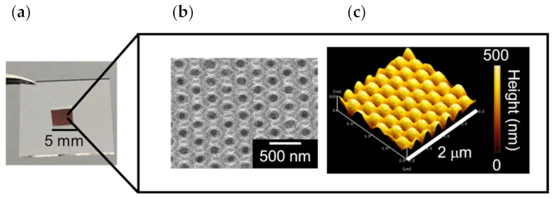 Micromachines 13 01182 g002 550