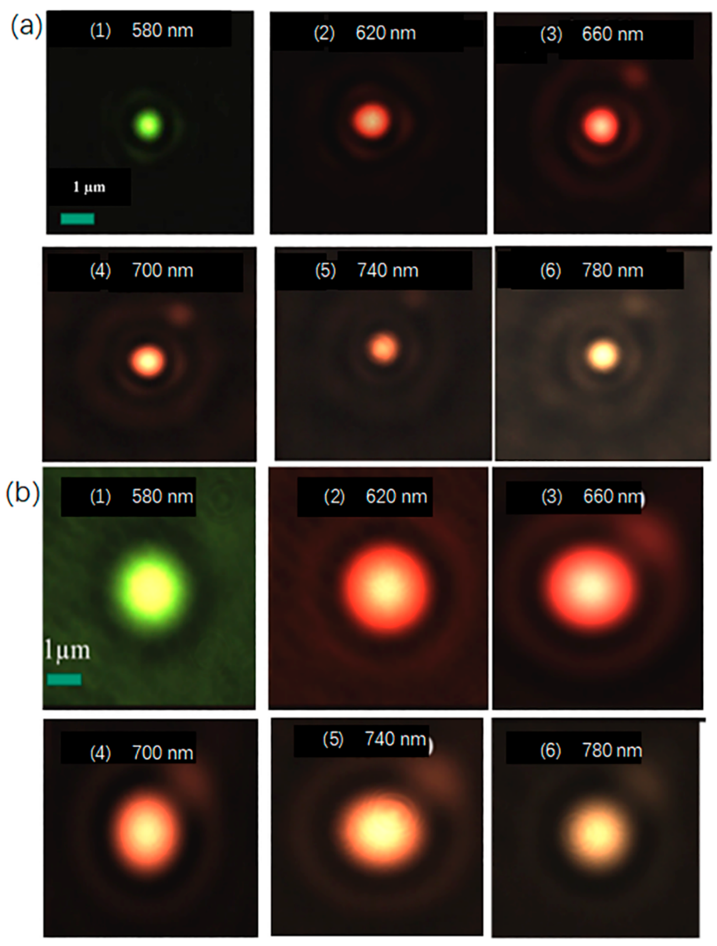 Micromachines 13 01183 g003 550