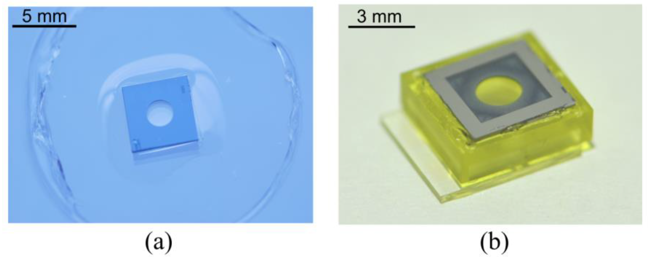 Micromachines 13 01189 g008 550