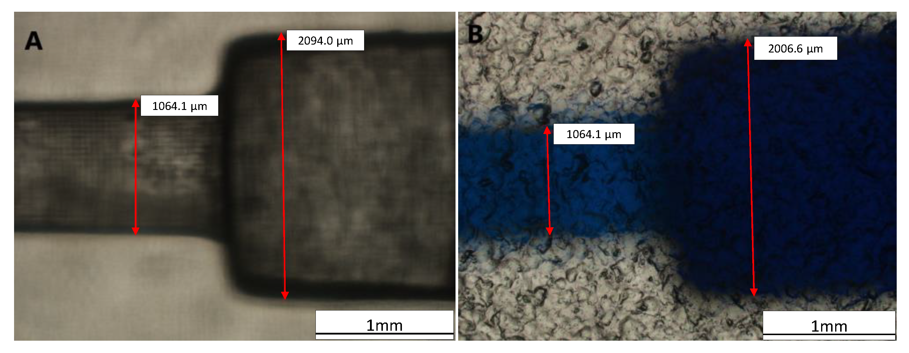 Micromachines 13 01197 g008